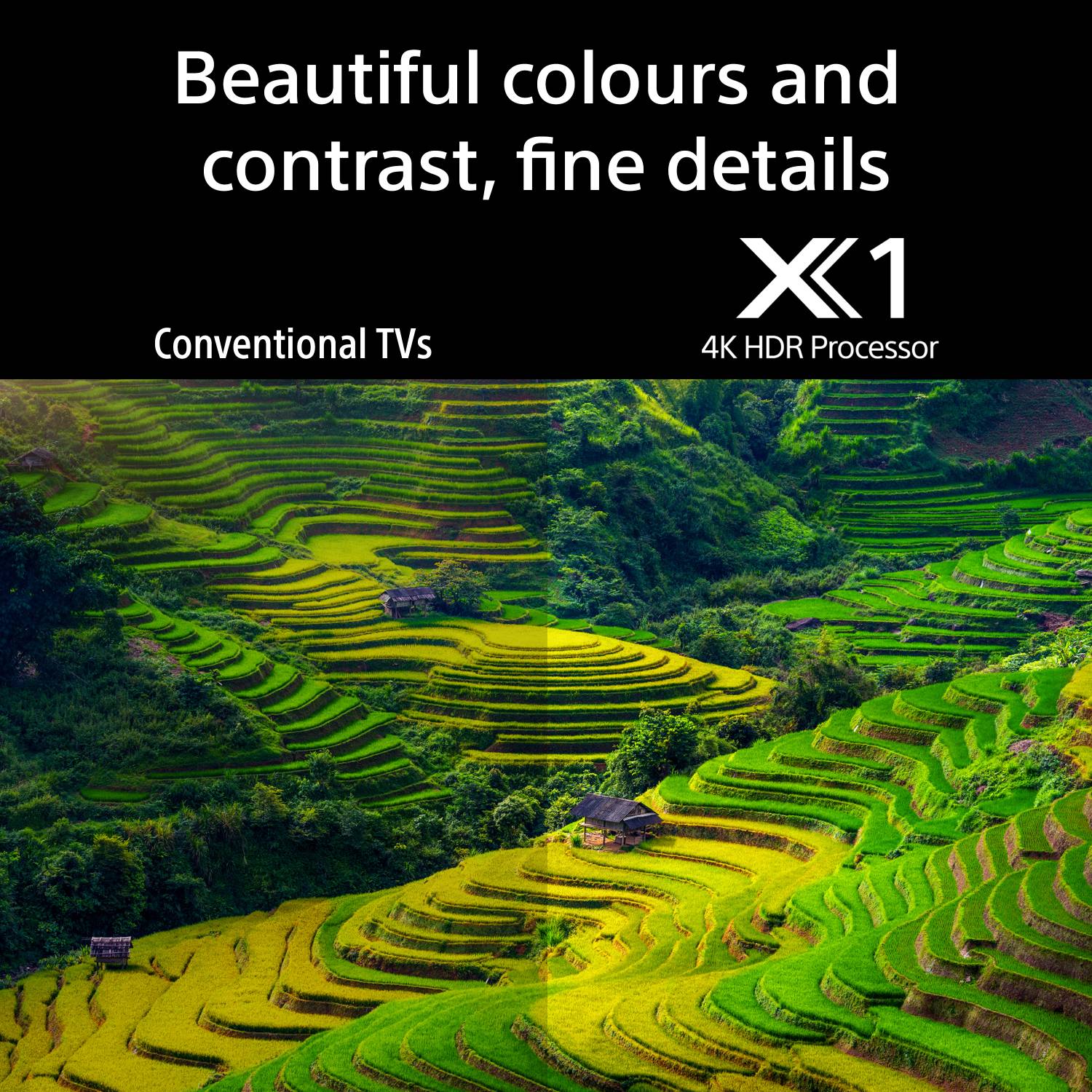 Sony Bravia 3 50 inch 4K Ultra HD LED Smart Google TV - Image 5