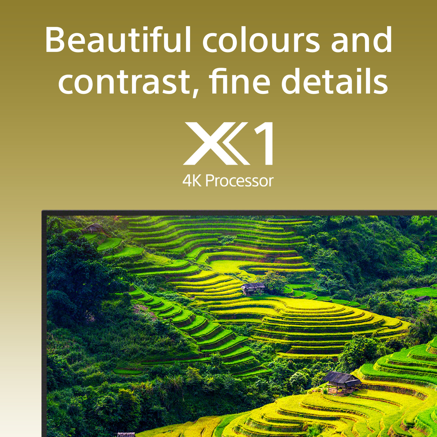 Image of SONY Bravia 2 108 cm (43 inch) Ultra HD (4K) LED Smart Google TV