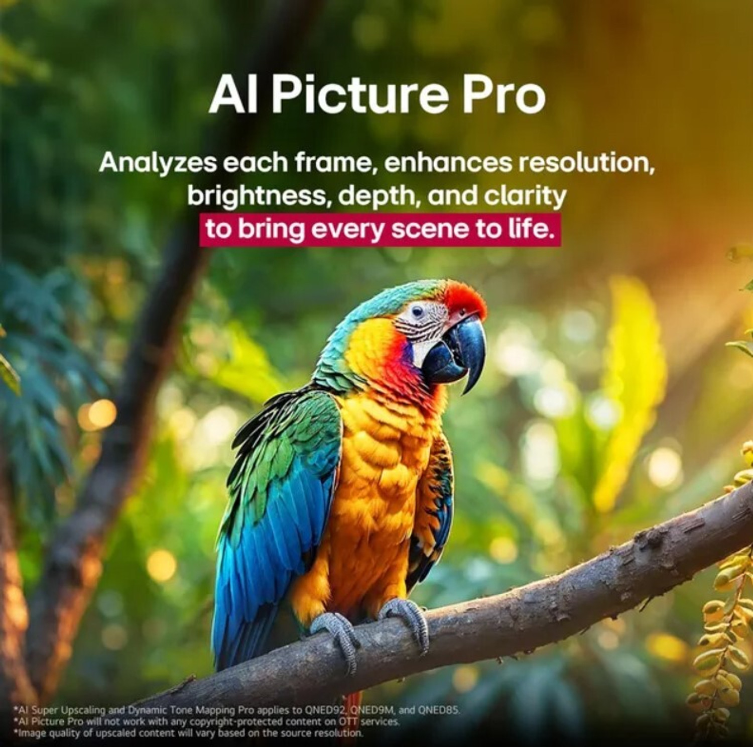 Image of LG 8XA Mini LED 164 cm (65 inch) Ultra HD (4K) QNED Smart WebOS TV 2025 Edition with ?8 AI Processor 4K Gen2 | Dynamic� Color� |120Hz Native |FILMMAKER Mode| NEW AI Magic Remote | AI Brightness Control AI Search with MS Copilot | AI Sound Pro (9.1.2 Up Mix) | Dolby Atmos | Chromecast Built-in