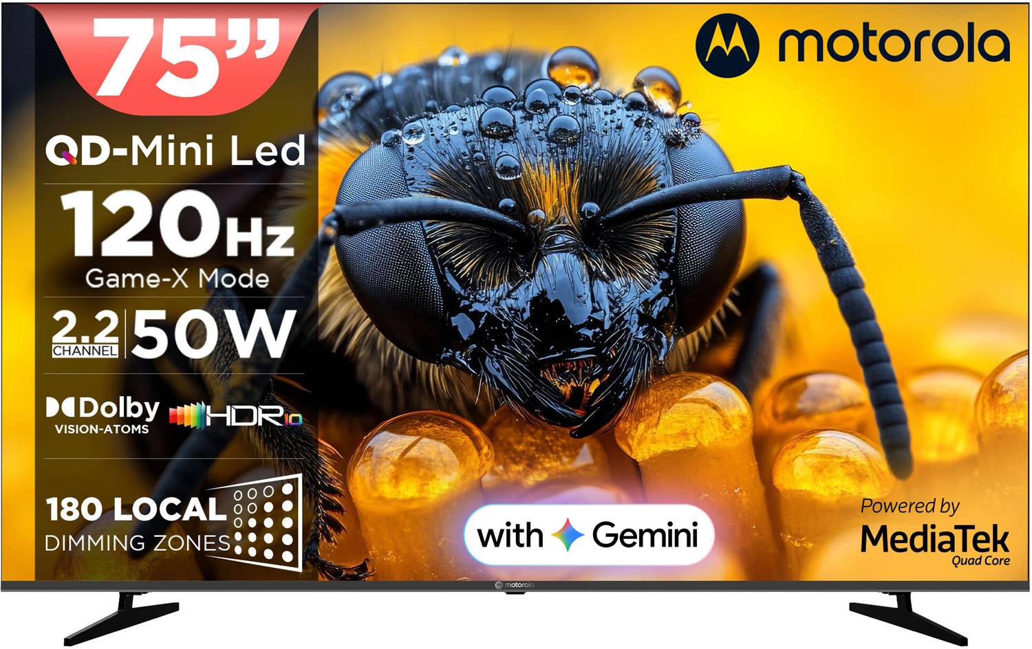 MOTOROLA 190 cm (75 inch) Ultra HD (4K) Mini LED Smart Google TV 2026 Edition with QD Mini LED, 180 Local Dimming Zones / LEDs, 2.2 Channel Audio System AIPQ, Mediatek Processor, 120Hz refresh rate, Dolby Vision-Atmos, HDR10 Online at best Prices In India