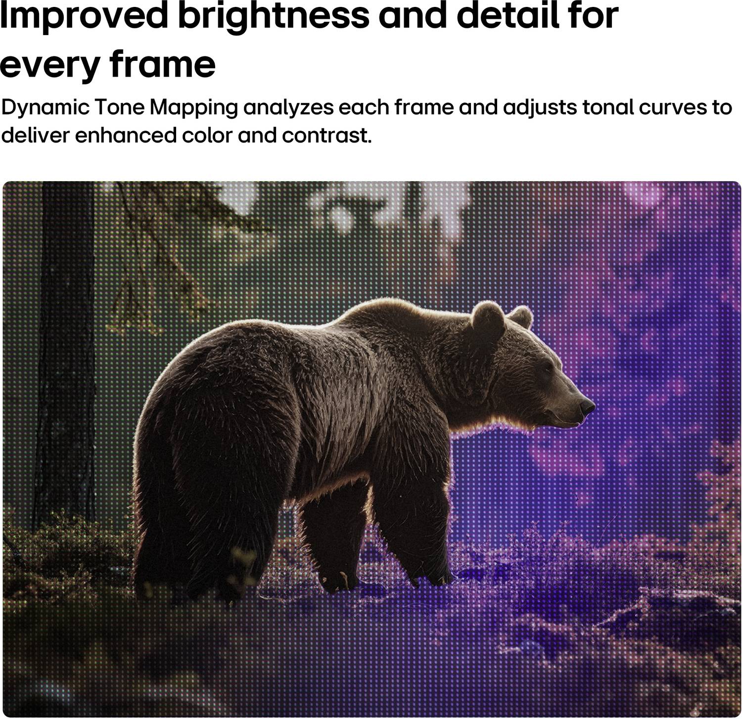 LG AI LB65 80 cm (32 inch) Full HD Smart TV 2026 Edition - Image 4