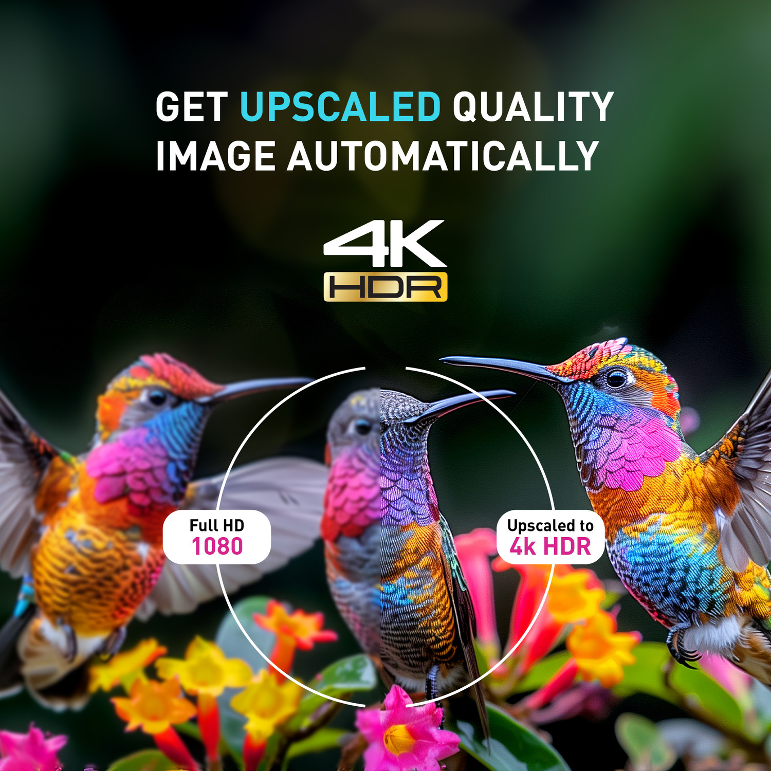 Image of Panasonic 127 cm (50 inch) Ultra HD (4K) LED Smart Android TV