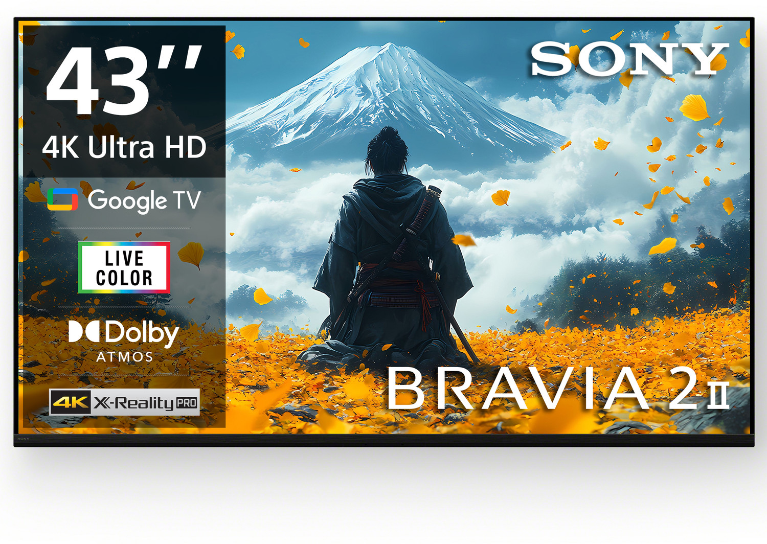 Image of SONY BRAVIA 2 II 108 cm (43 inch) Ultra HD (4K) LED Smart Google TV