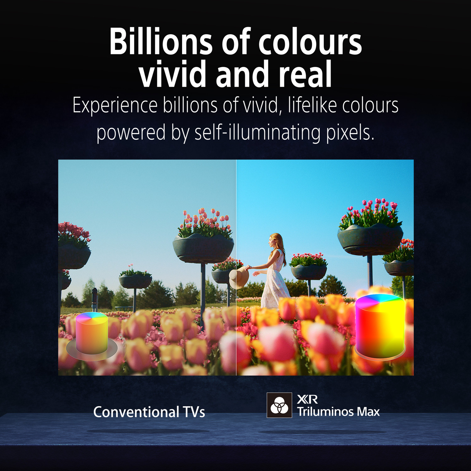 Image of SONY BRAVIA 8 II 138.8 cm (55 inch) OLED Ultra HD (4K) Smart Google TV