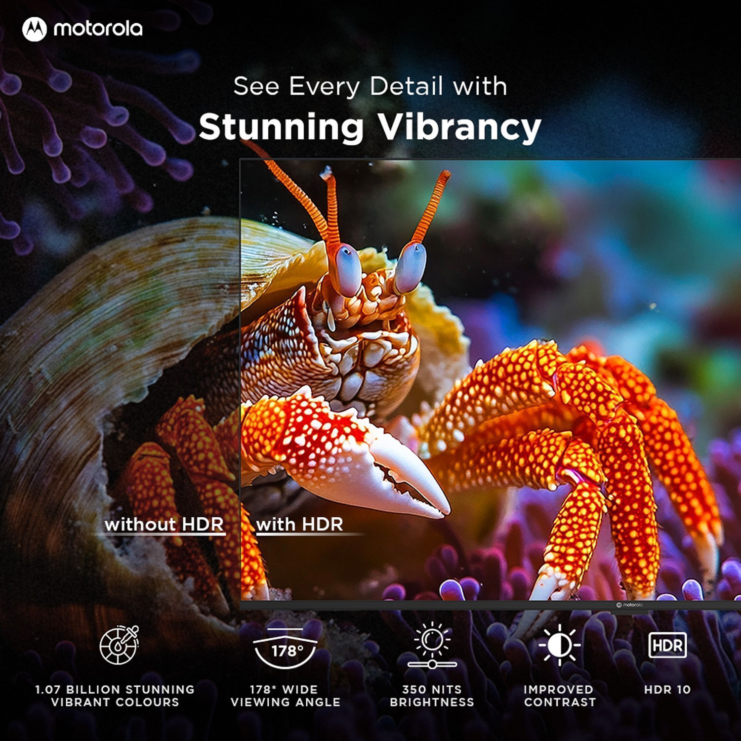 Image of MOTOROLA 191 cm (75 inch) QLED Ultra HD (4K) Smart Google TV