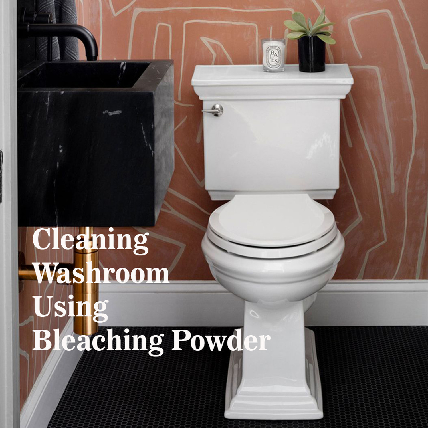 Image of Bala Easy BLEACHING POWDER Powder Toilet Cleaner