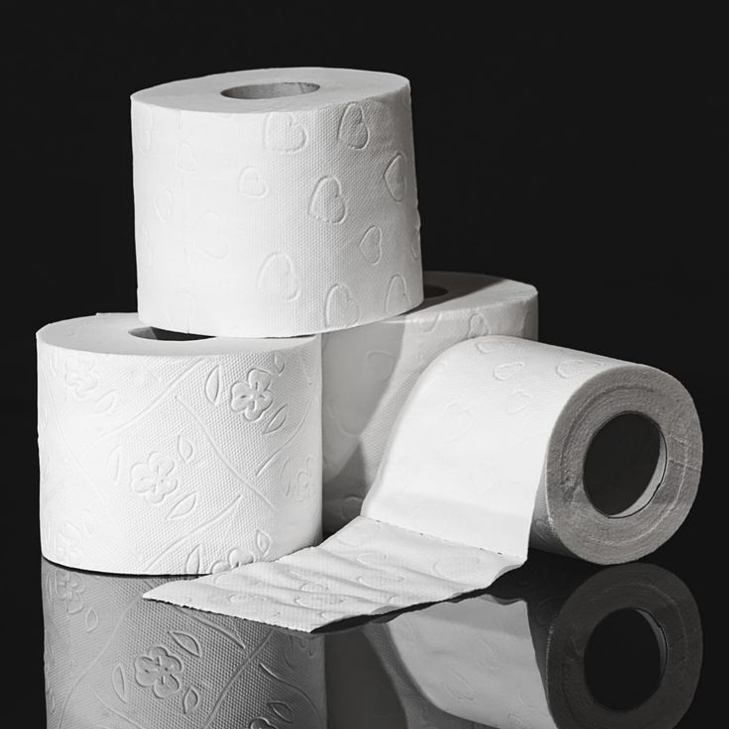 Image of Everbite Eco friendly Soft Toilet Tissue Paper Rolls, Bathroom Tissue Roll Pack of 3 pcs Toilet Paper Roll