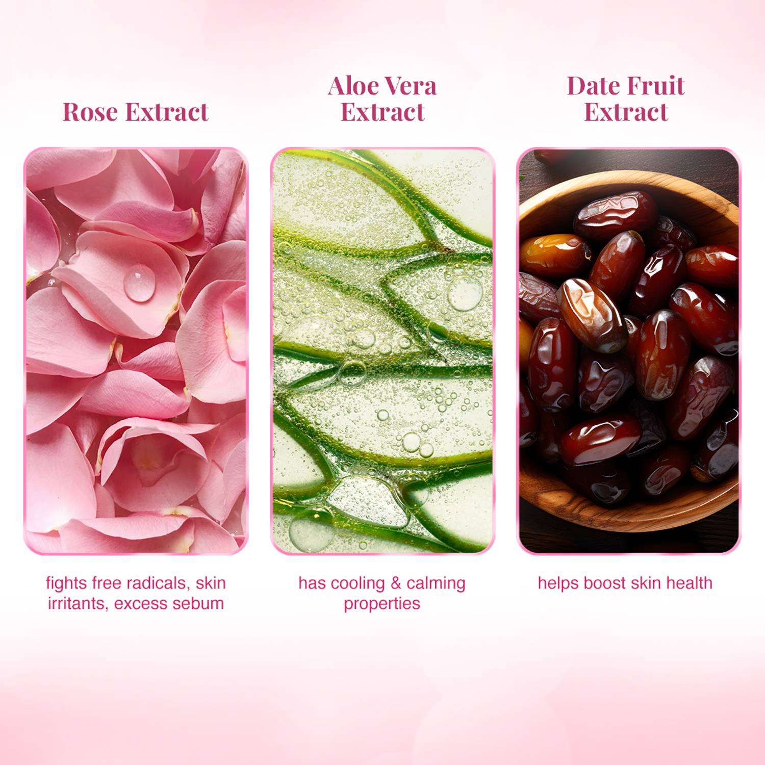 VLCC Rose Water Toner 100 ml - Image 5