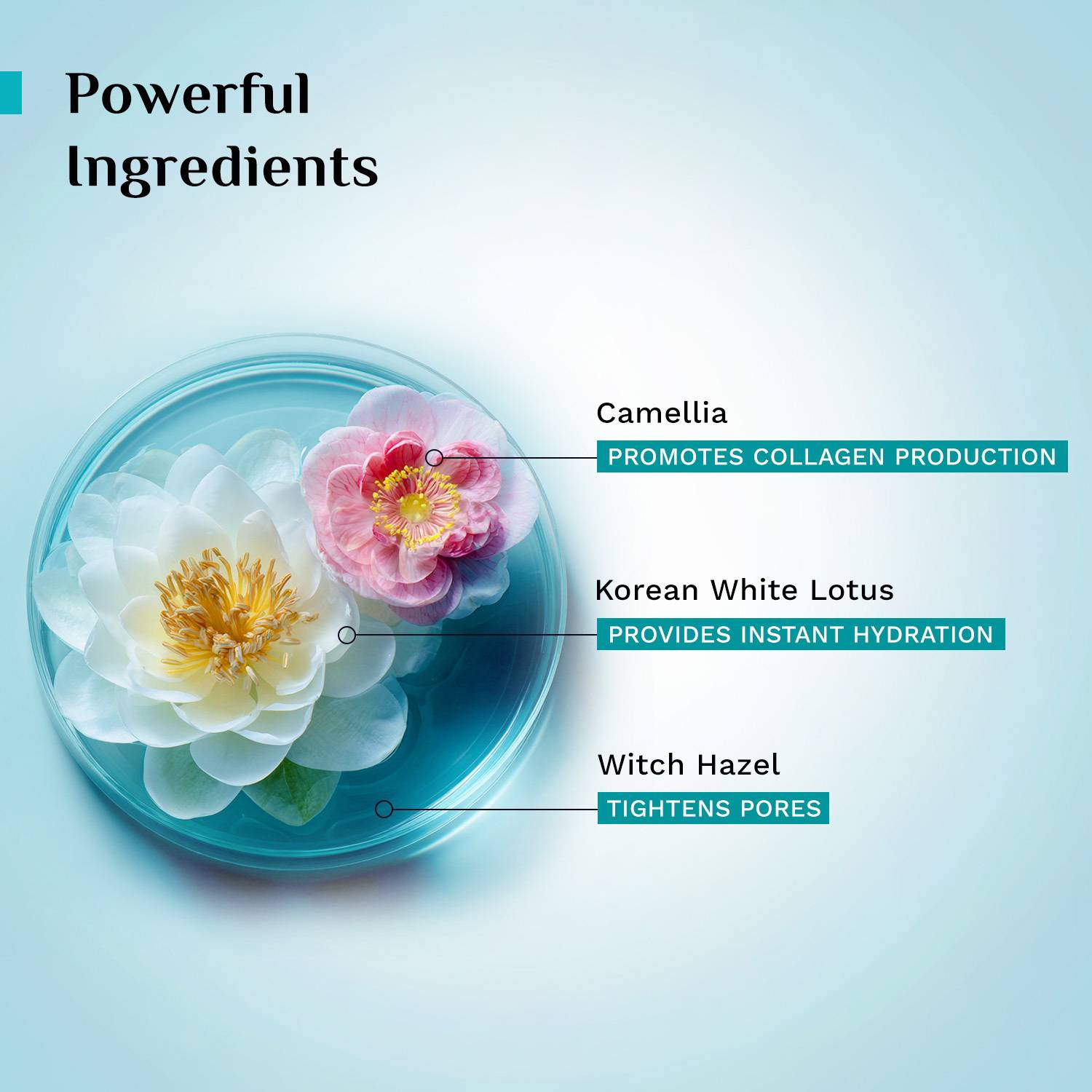 Pilgrim White Lotus Face Mist & Toner 100ml - Image 4