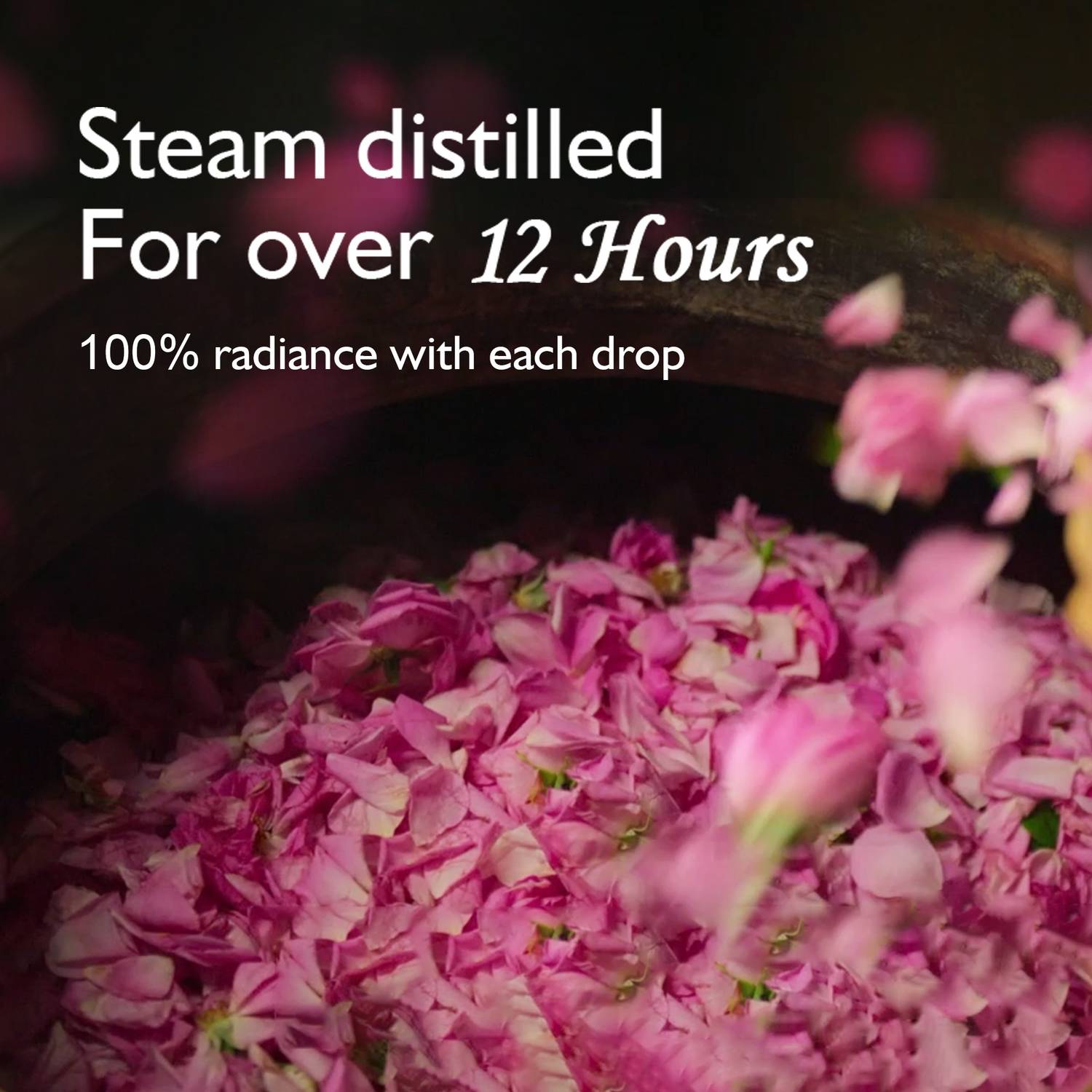Dabur Gulabari Rose Water, 250 ml (Pack of 3) - Image 4