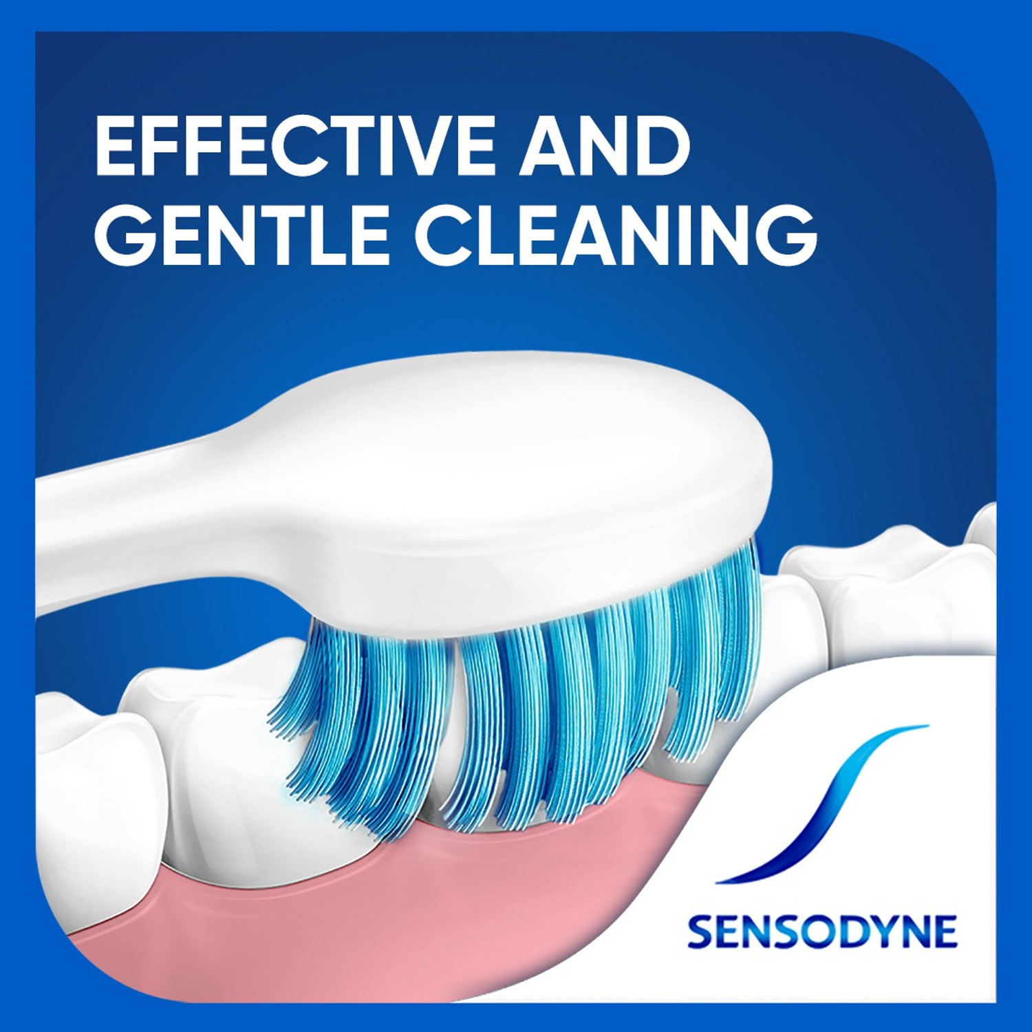 Image of SENSODYNE Sensitive with soft rounded bristles Soft Toothbrush