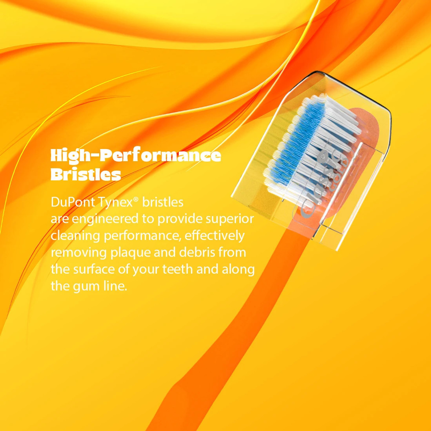 Image of CLASSIC GOLD SUMO Medium Toothbrush