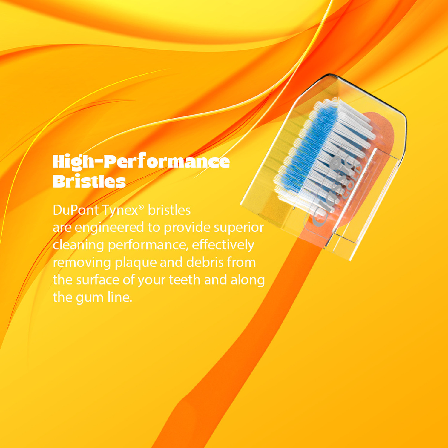 Image of CLASSIC GOLD SUMO Medium Toothbrush