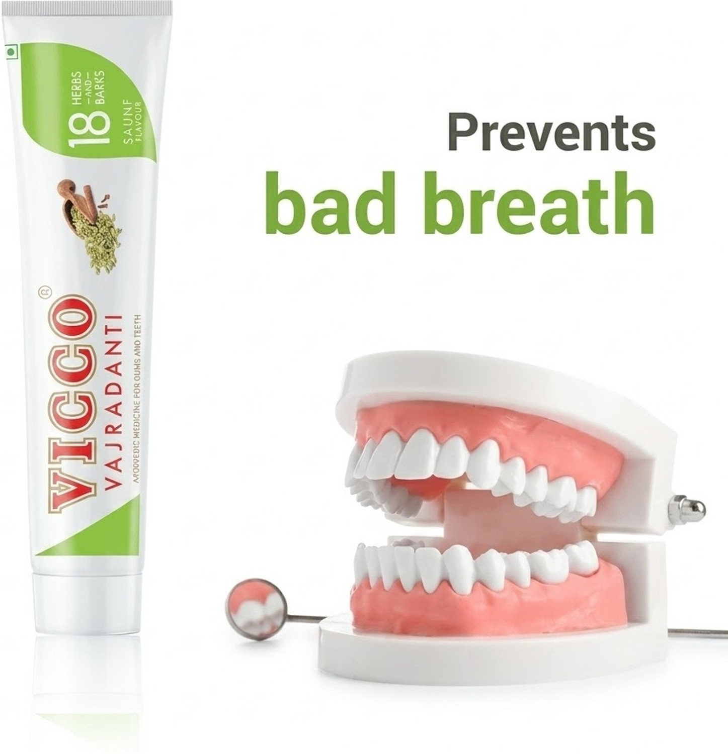 Image of VICCO Ayurvedic Toothpaste 160 x 2PES Toothpaste
