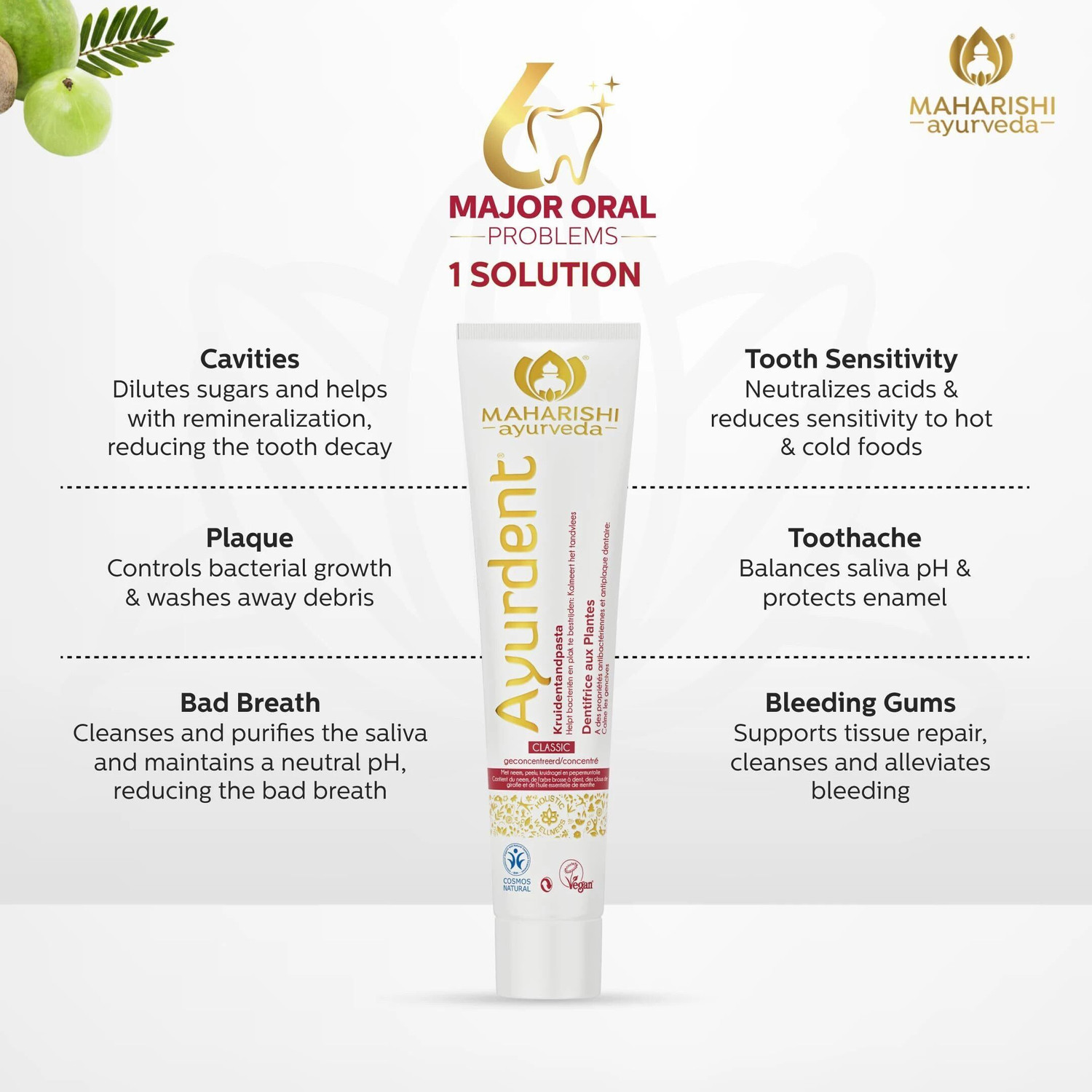 Image of MAHARISHI ayurveda Ayurdent Classic Toothpaste, For Toothache, Bleeding Gums, Sensitivity & Plaque Toothpaste