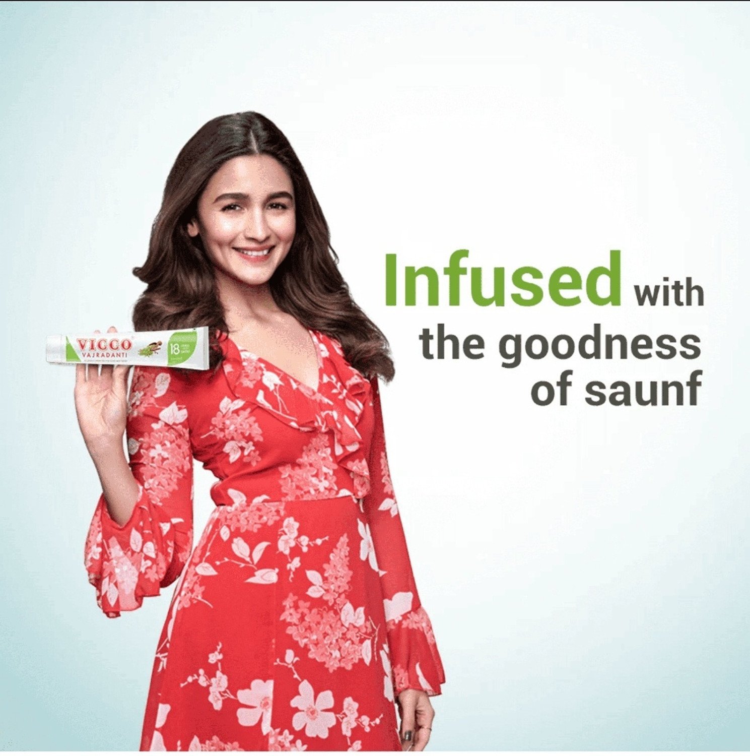 Image of VICCO Ayurvedic Toothpaste 160 x 2PES Toothpaste