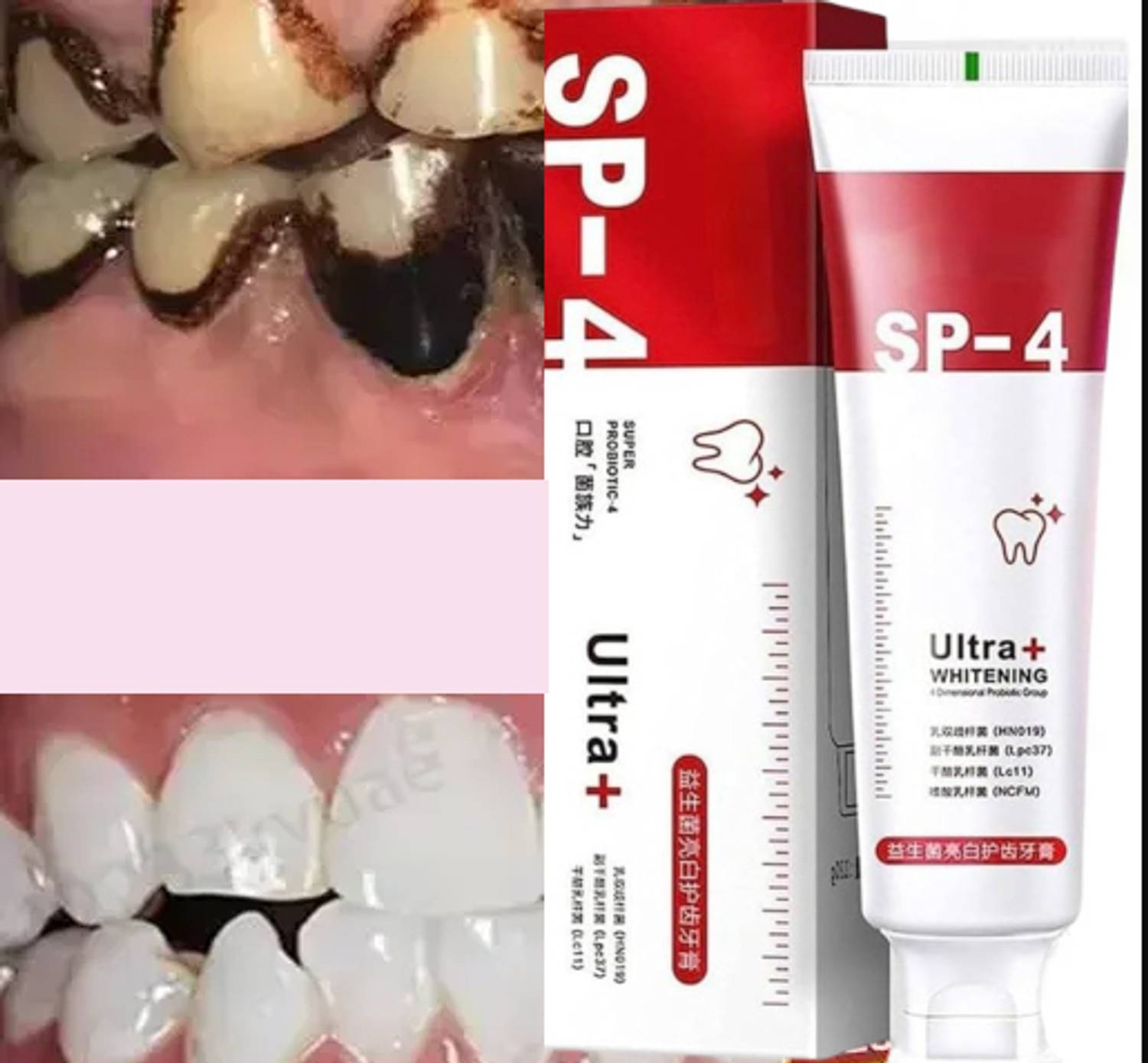 bendist export Sp-4 Ultra Whitening Probiotics Bamboo Charcoal Toothpaste ( pack of_1) Toothpaste