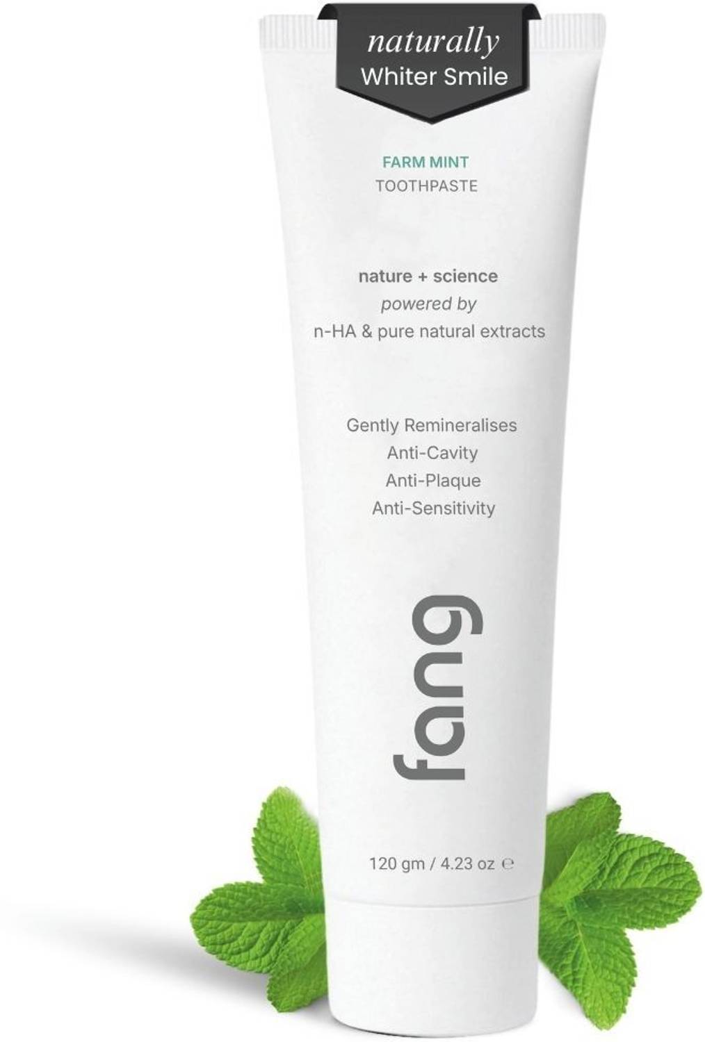 Fang Farm Mint Toothpaste 120g - Image 1