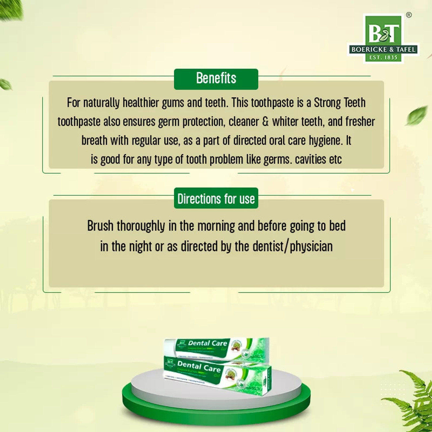 Image of BT BOERICKE & TAFEL Dental Care Gel Toothpaste with Neem Extract for Strong Teeth & Healthy Gums Toothpaste (400 g, Pack of 4)