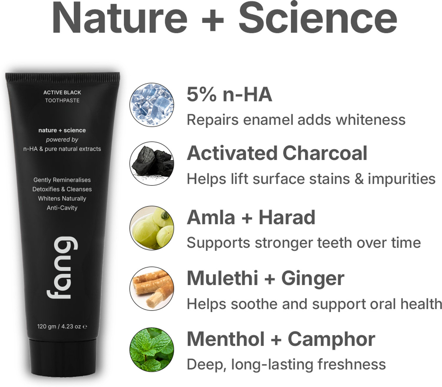 Image of Fang Forest Essence Combo + Active Black Toothpaste (2 x 240g) Toothpaste