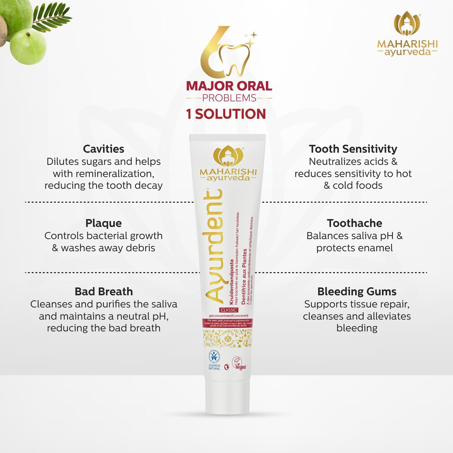 Image of MAHARISHI ayurveda Ayurdent Classic Toothpaste, For Toothache, Bleeding Gums, Sensitivity & Plaque Toothpaste