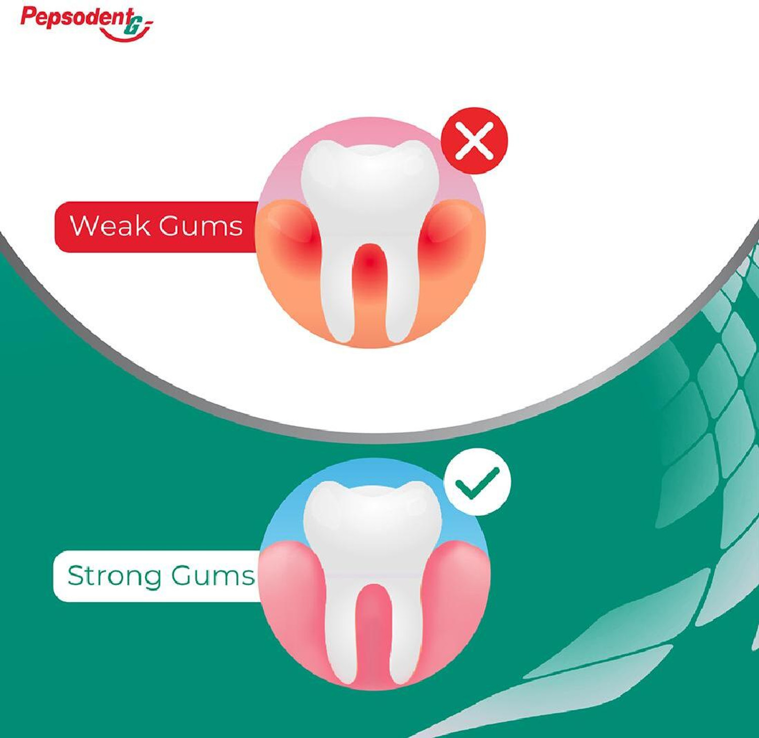 Image of PEPSODENT Expert Protection Gum Care Toothpaste Toothpaste