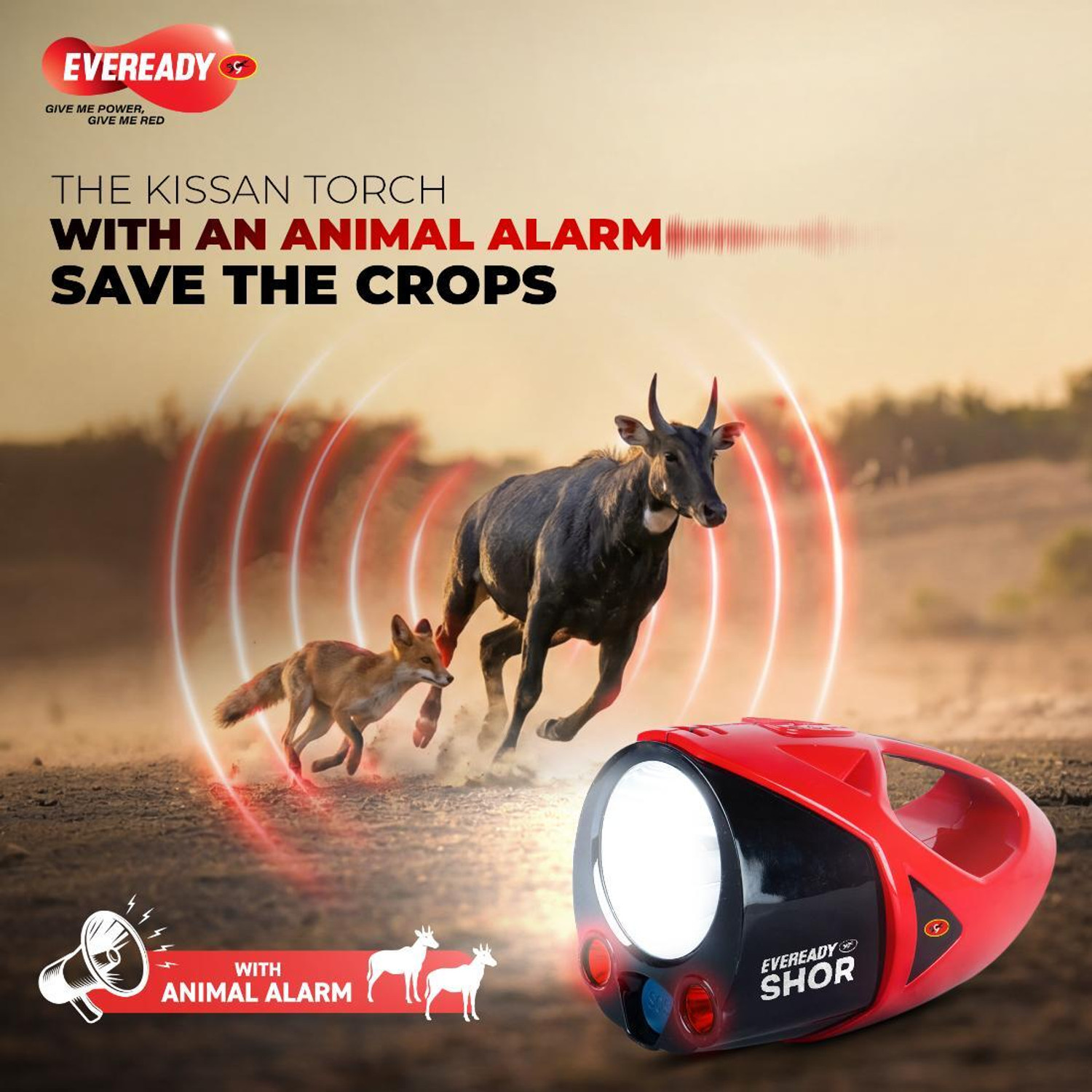 Image of EVEREADY SHOR DL190 Torch