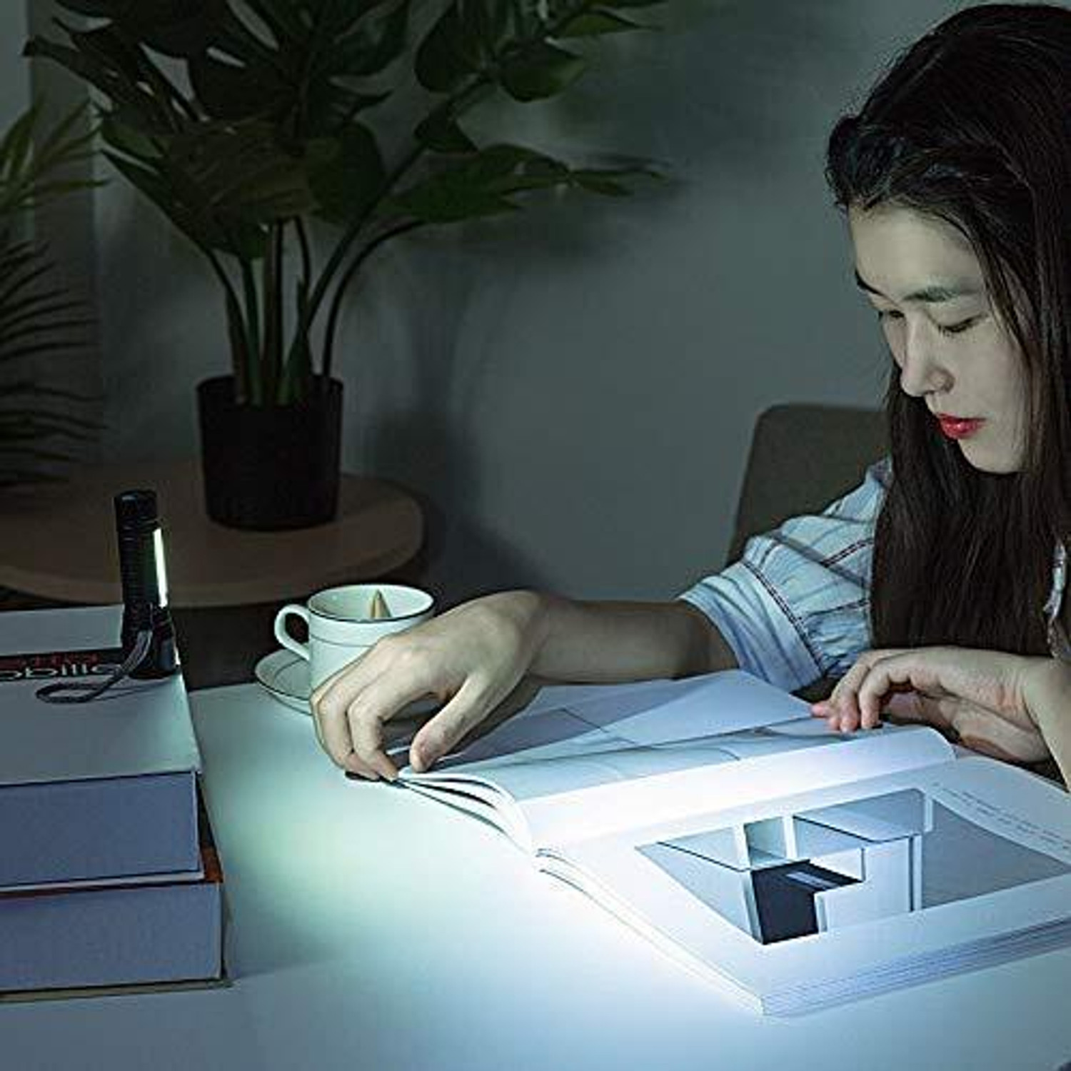 Image of Aubade Combo Pack - 2 in 1 Rechargeable Torch Light Set with Powerful LED Beam Torch