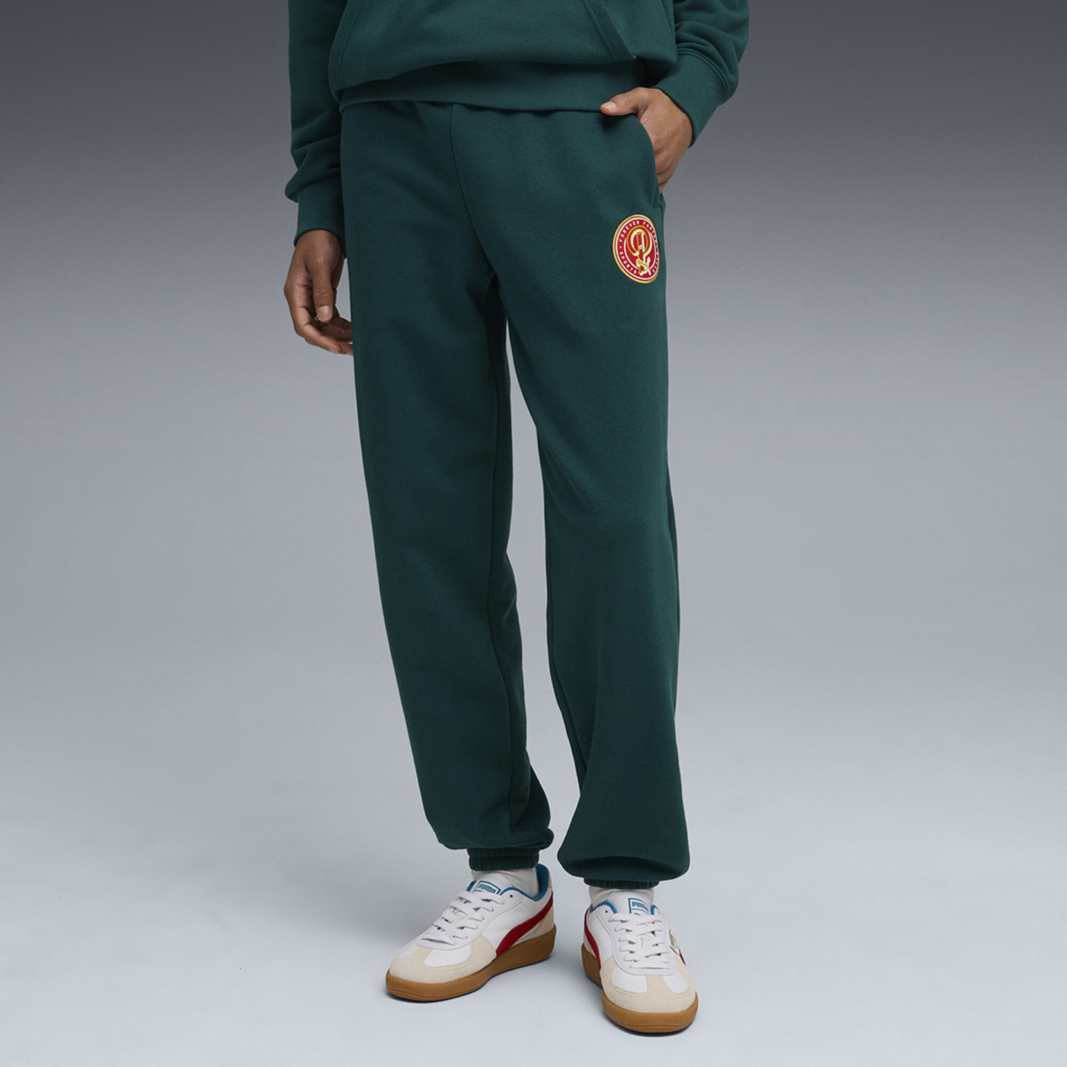 Image of PUMA Solid Men Green Track Pants