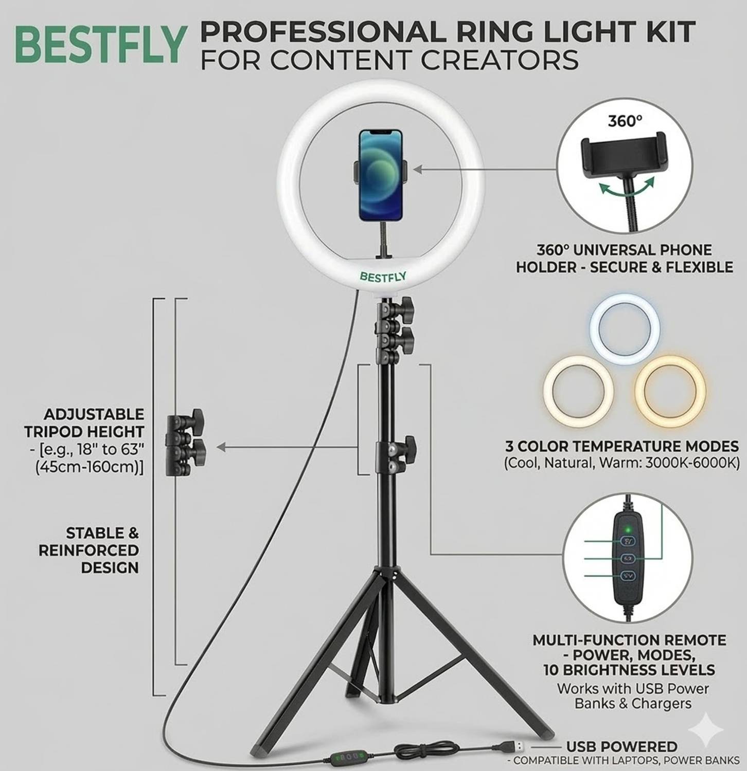 BESTFLY 10-inch Ring Light with Stand and Mobile Holder