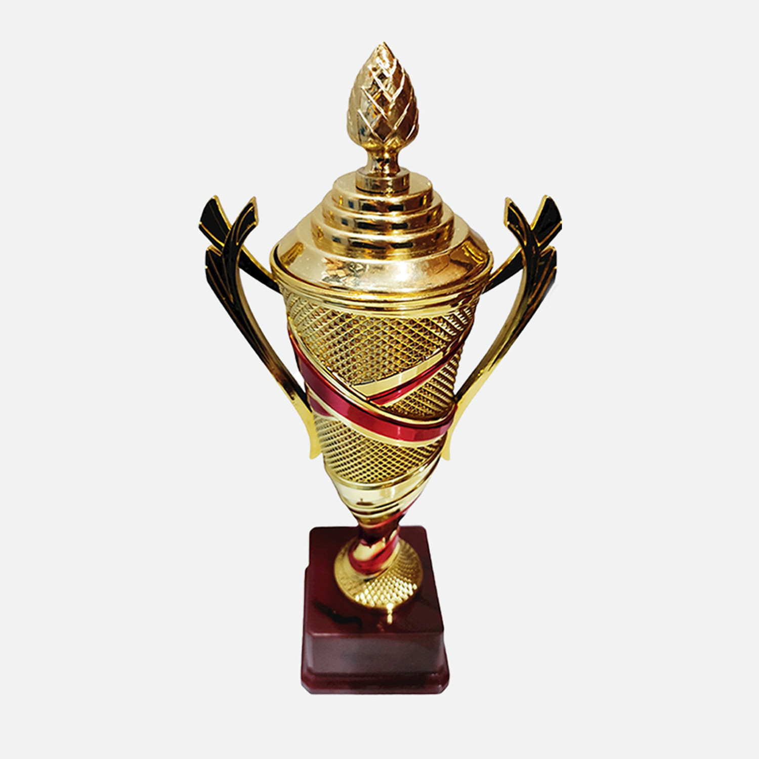 Image of BAREEZE PURE Trophy Celebrations, , Appreciation , Sport, Academy, Awards Teachers Students Trophy