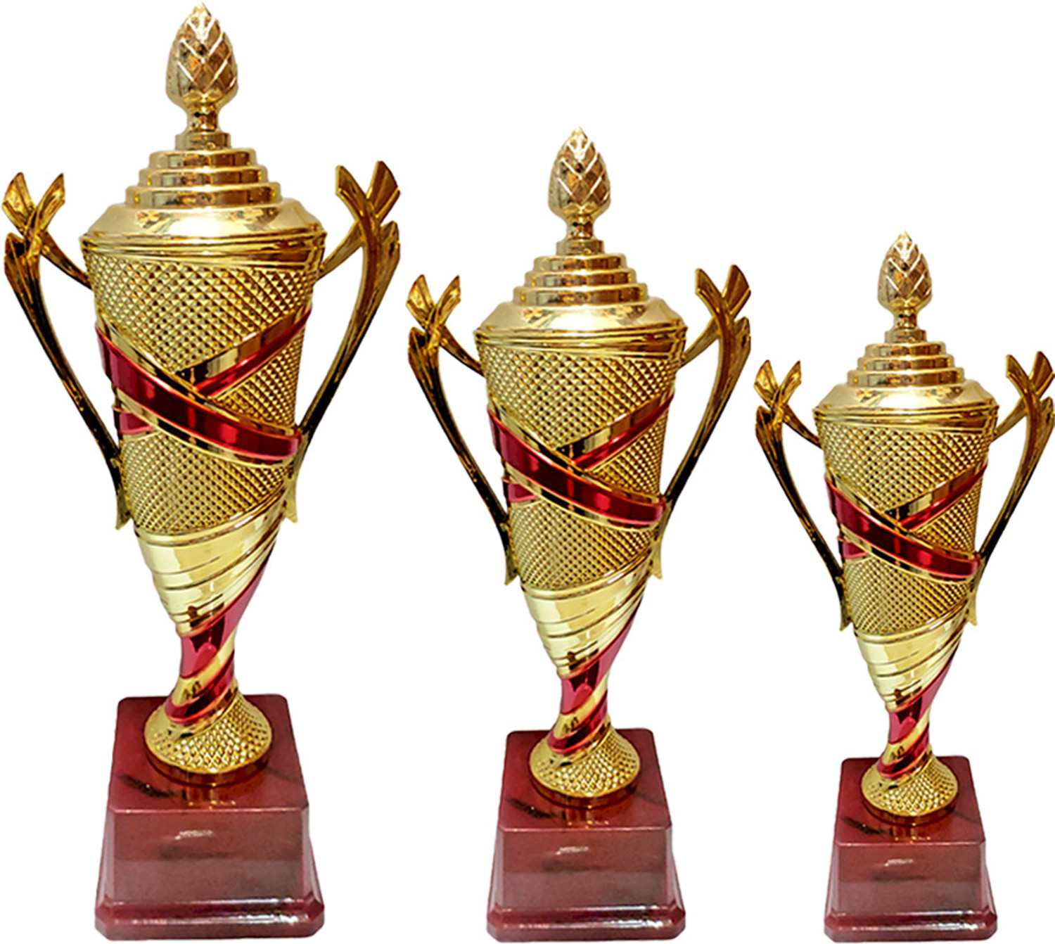 Image of BAREEZE PURE Trophy Celebrations, , Appreciation , Sport, Academy, Awards Teachers Students Trophy