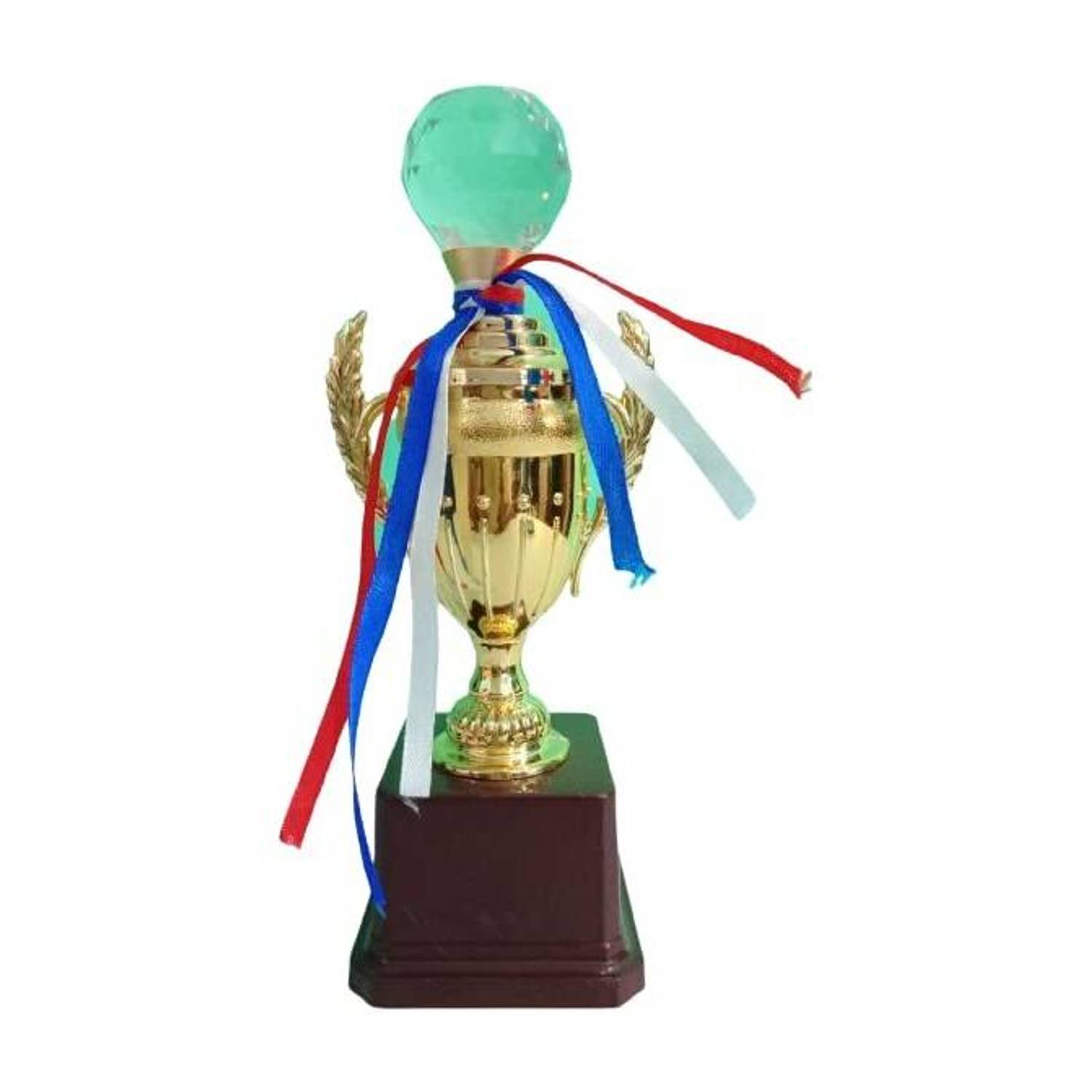 Afiya International Mini Cup Black Base Golden Winning Trophy/Award for Winners (24 CM) Trophy