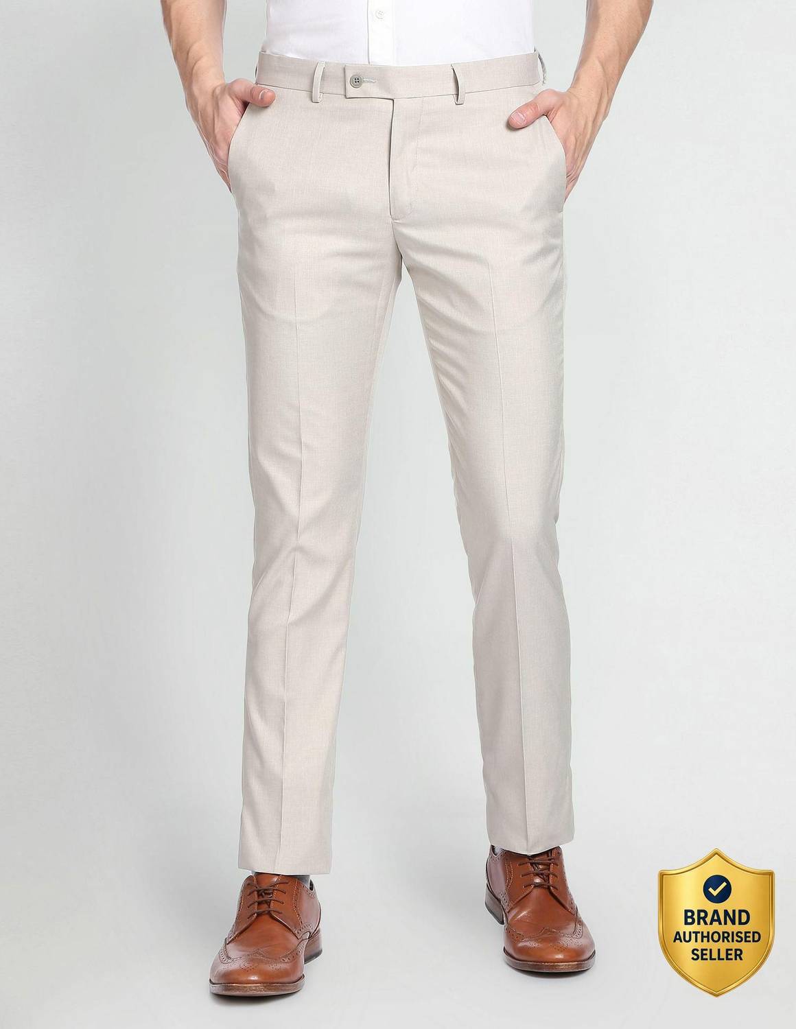 ARROW Regular Fit Men Grey Trousers