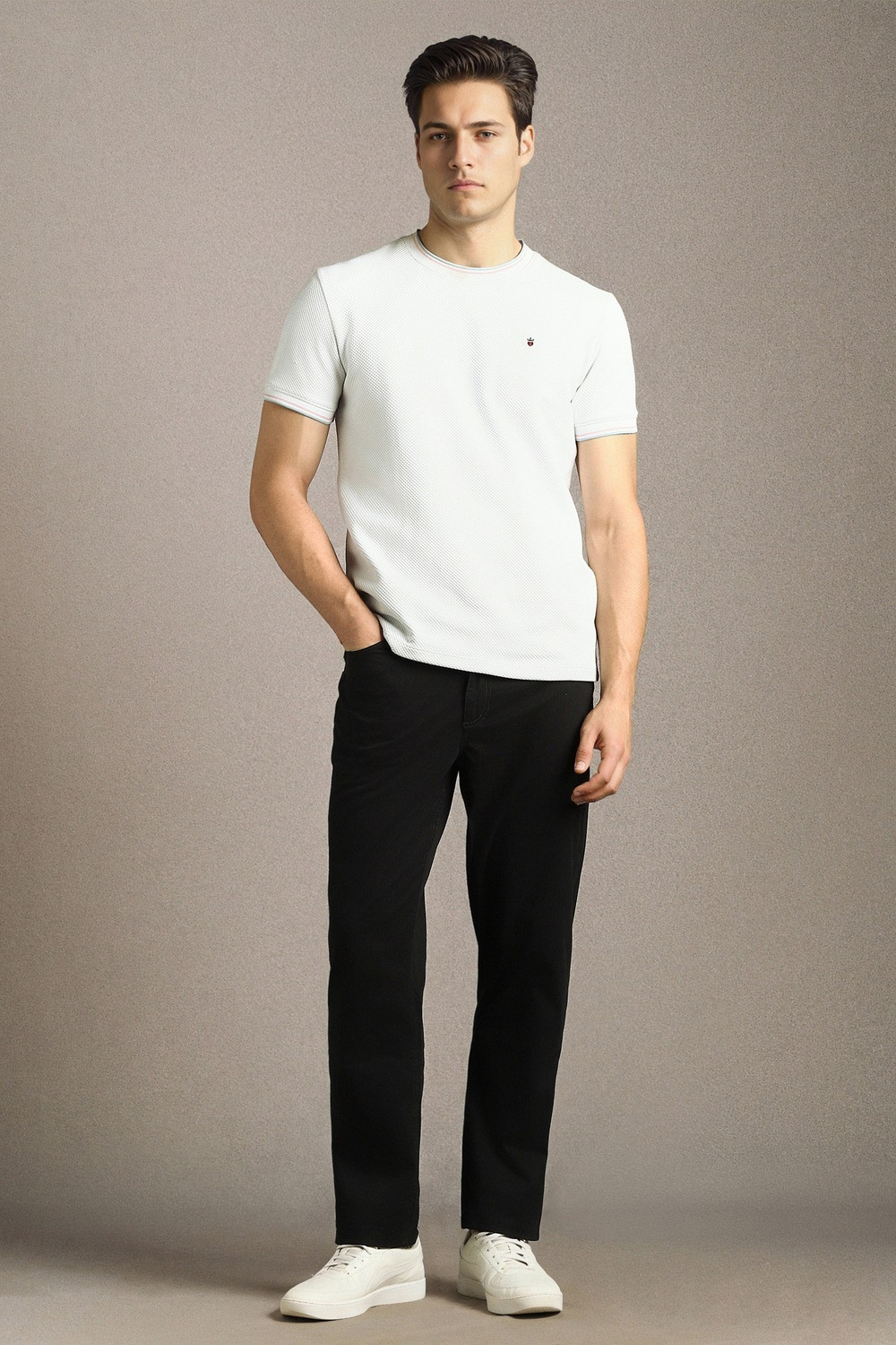 Image of LOUIS PHILIPPE Regular Fit Men Black Trousers