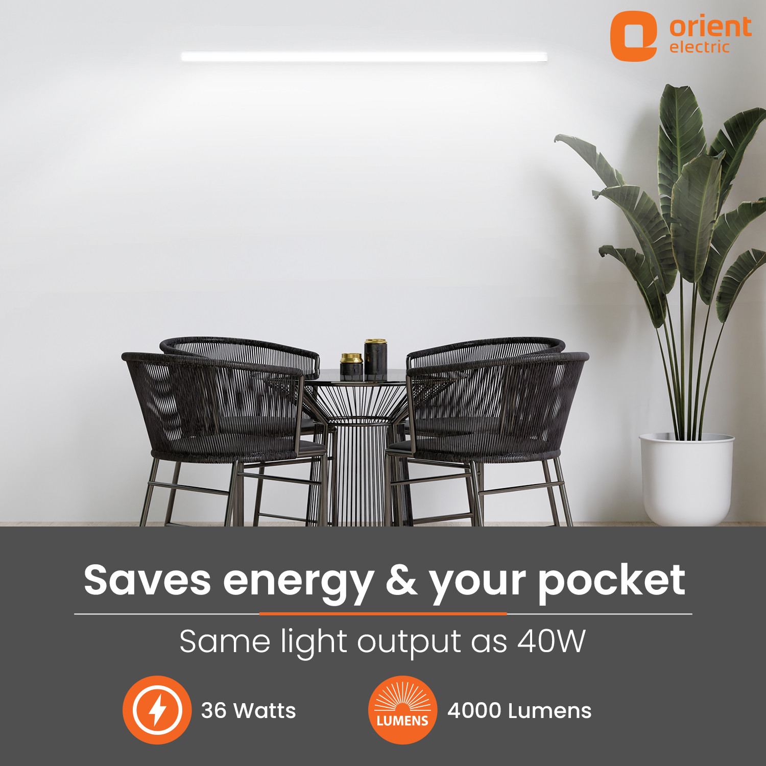 Image of Orient Electric ‎Grace Delite Batten 36 W 110 cm Tube Light (White)