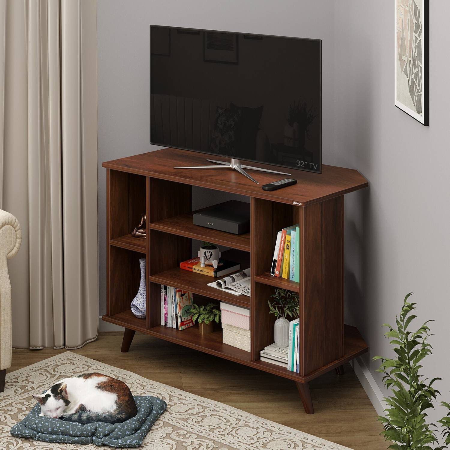 BLUEWUD Gautier TV Unit, Set Top Box Stand/TV Cabinet with Shelve