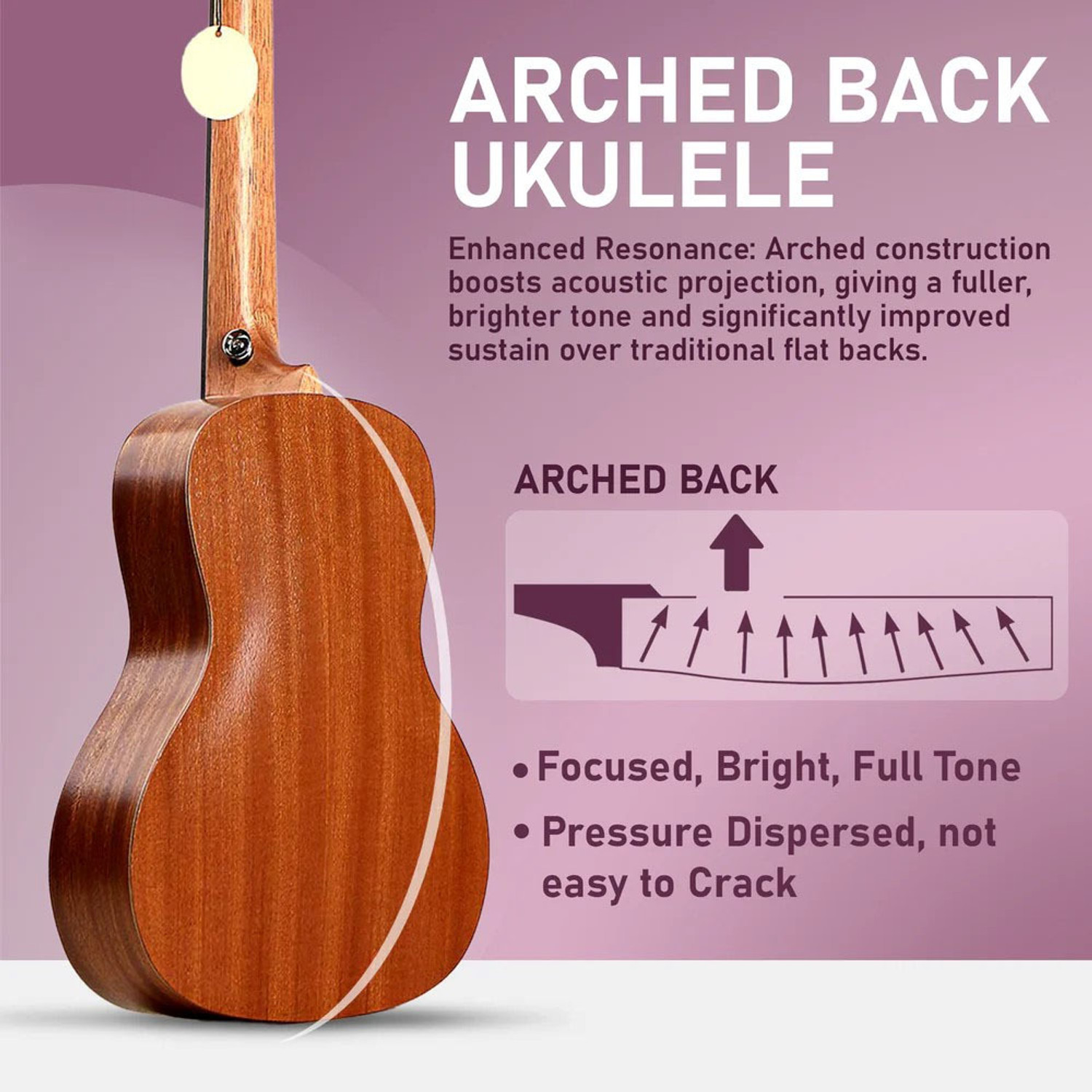 Image of AMG Music 24inch Concert Size Ukulele with Bag, Capo, Tuner, Ukulele String and Strap Concert Ukulele (Overall Length - 60.96 cm)