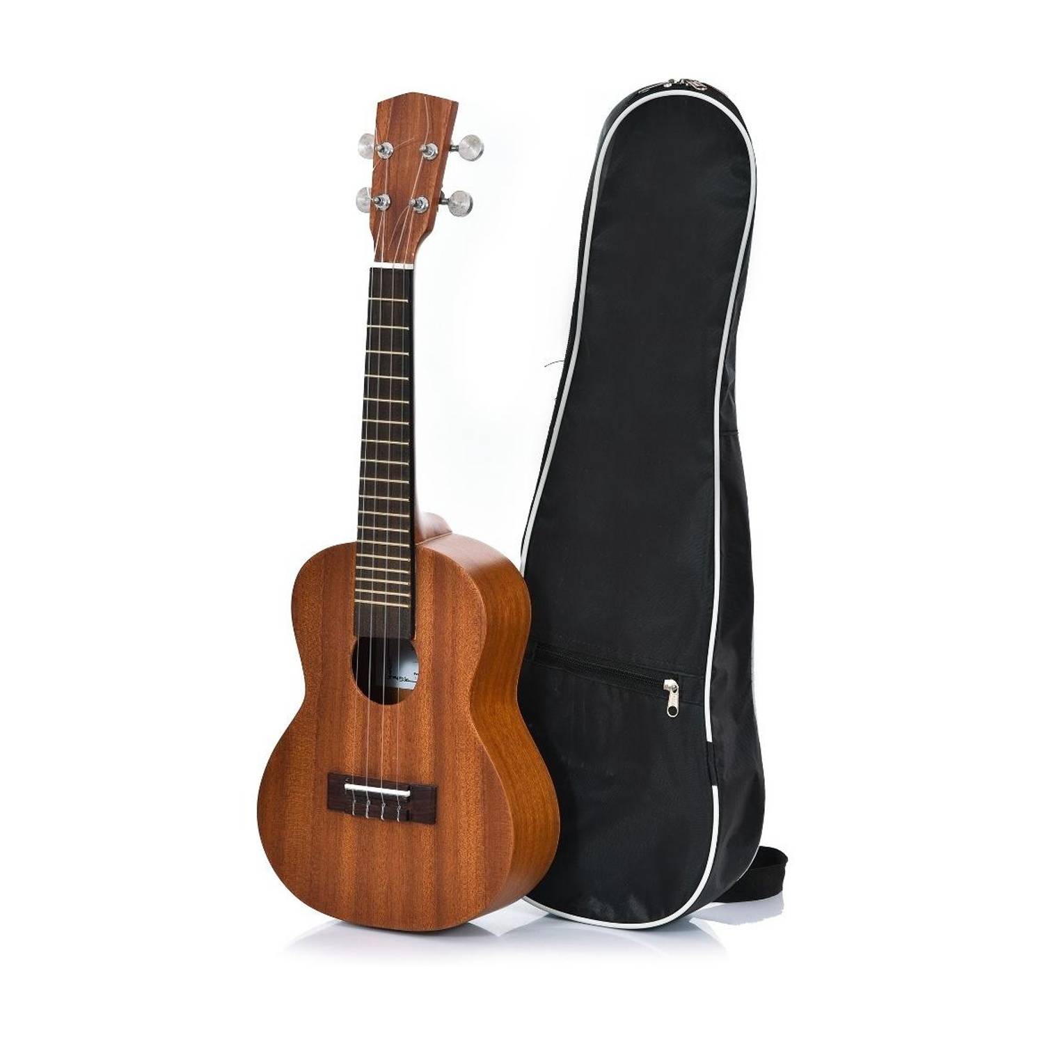 BLUEBERRY UK10 IN Concert Ukulele