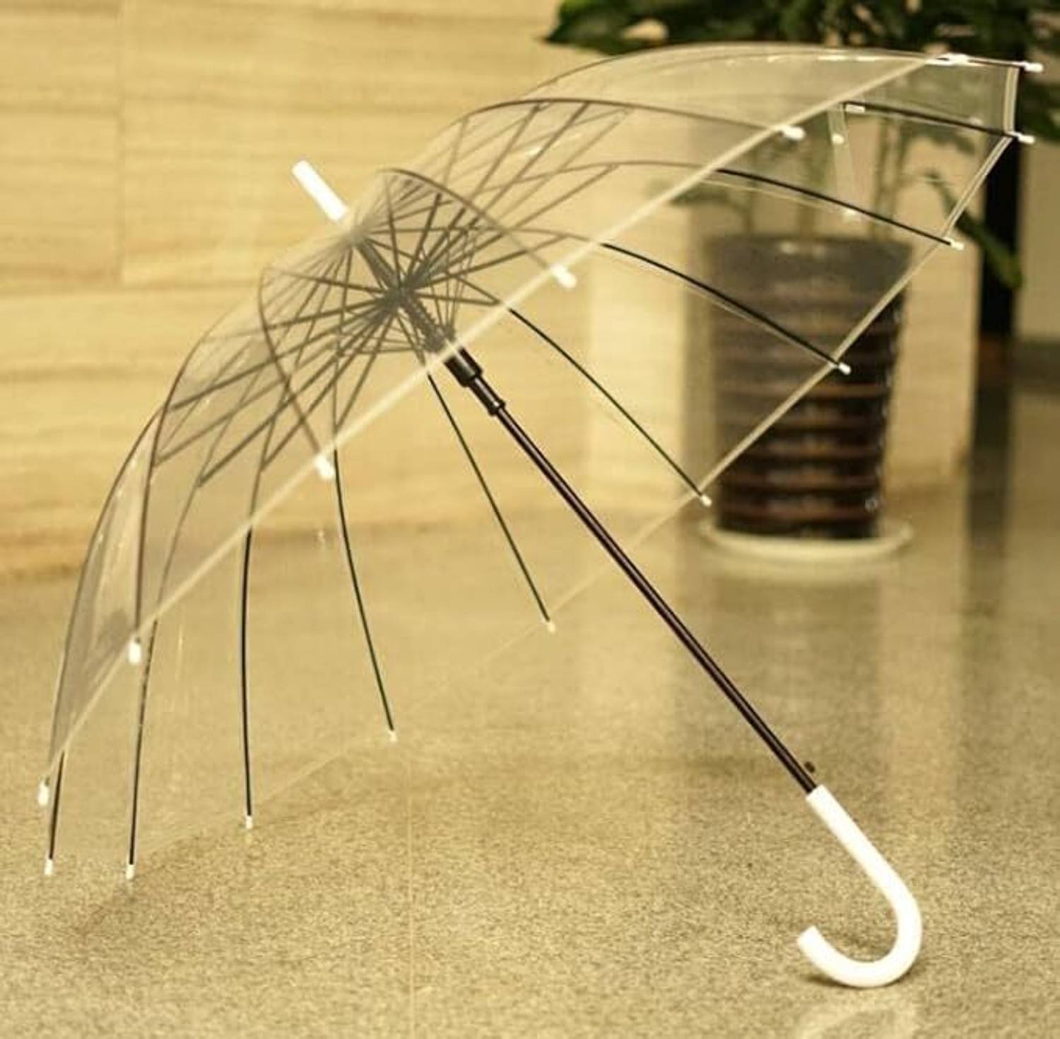 Spirit Transparent Umbrella Auto Open Stick Large Canopy