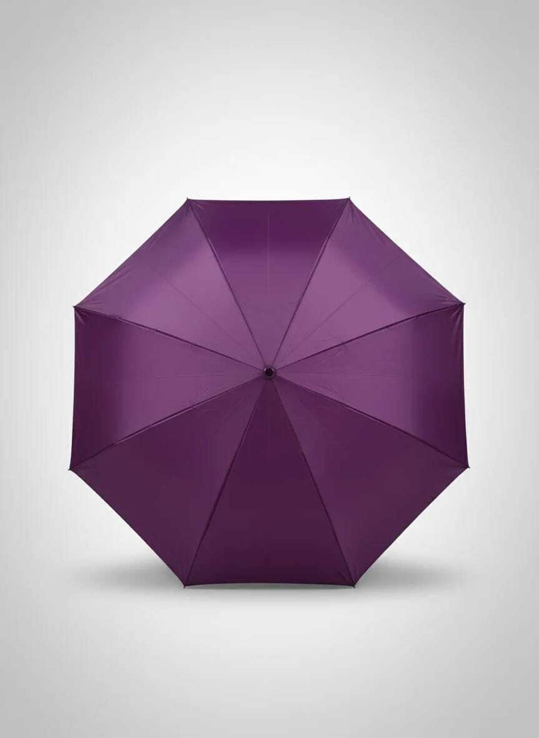 K.C. PAUL & SONS Swapna Umbrella