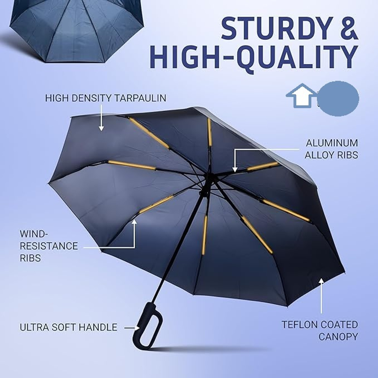 Image of Nexora Premium Quality Umbrella for Girls, Boys, Men & Women with Auto Open-Close Umbrella (Blue)