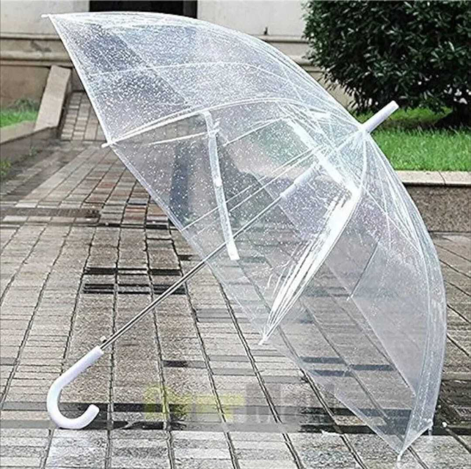 Image of VERMAJI Stylish Transparent Bubble Umbrella with J Hook Handle Umbrella