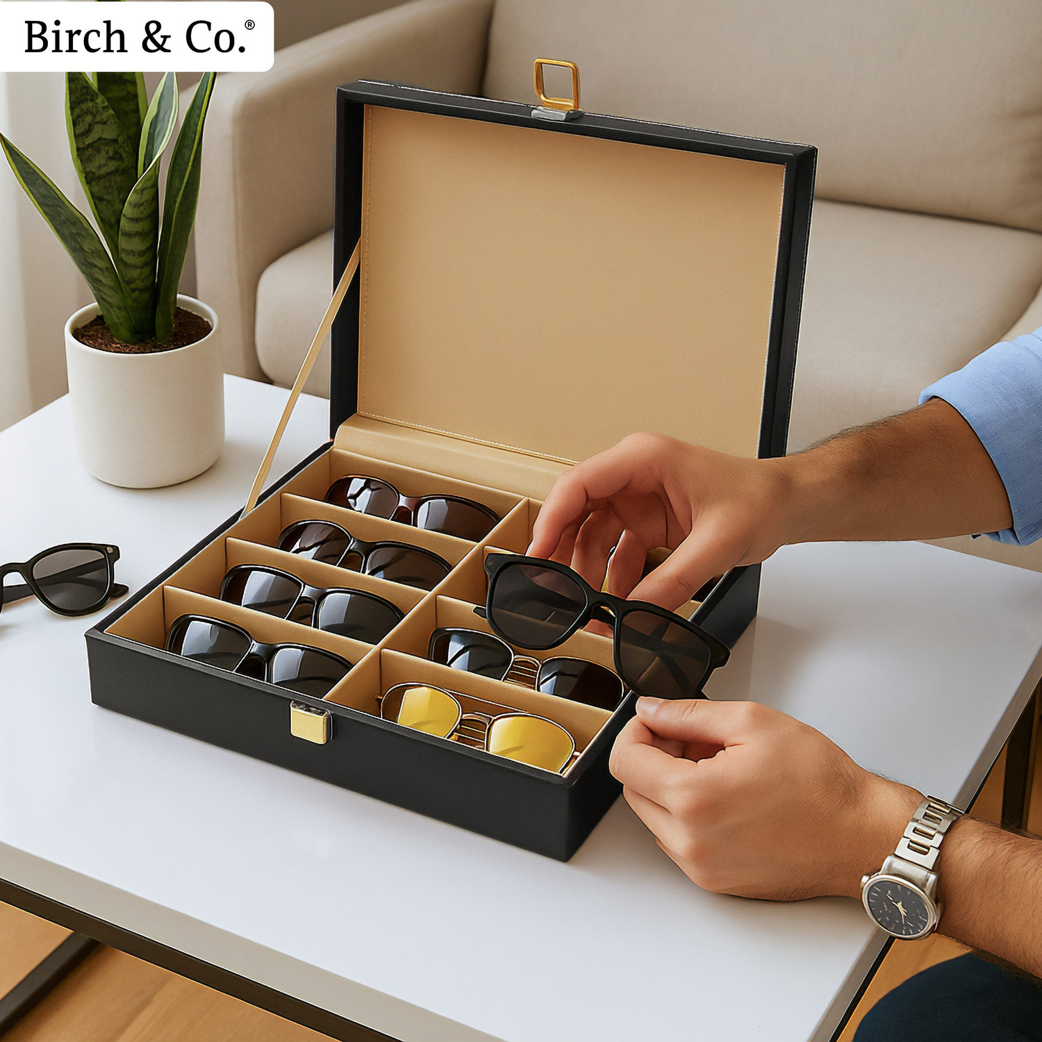 Image of Birch & Co. Sunglasses Organizer for Men - Goggles& Eyewear Holder, Travel-Friendly Regular Vanity Box
