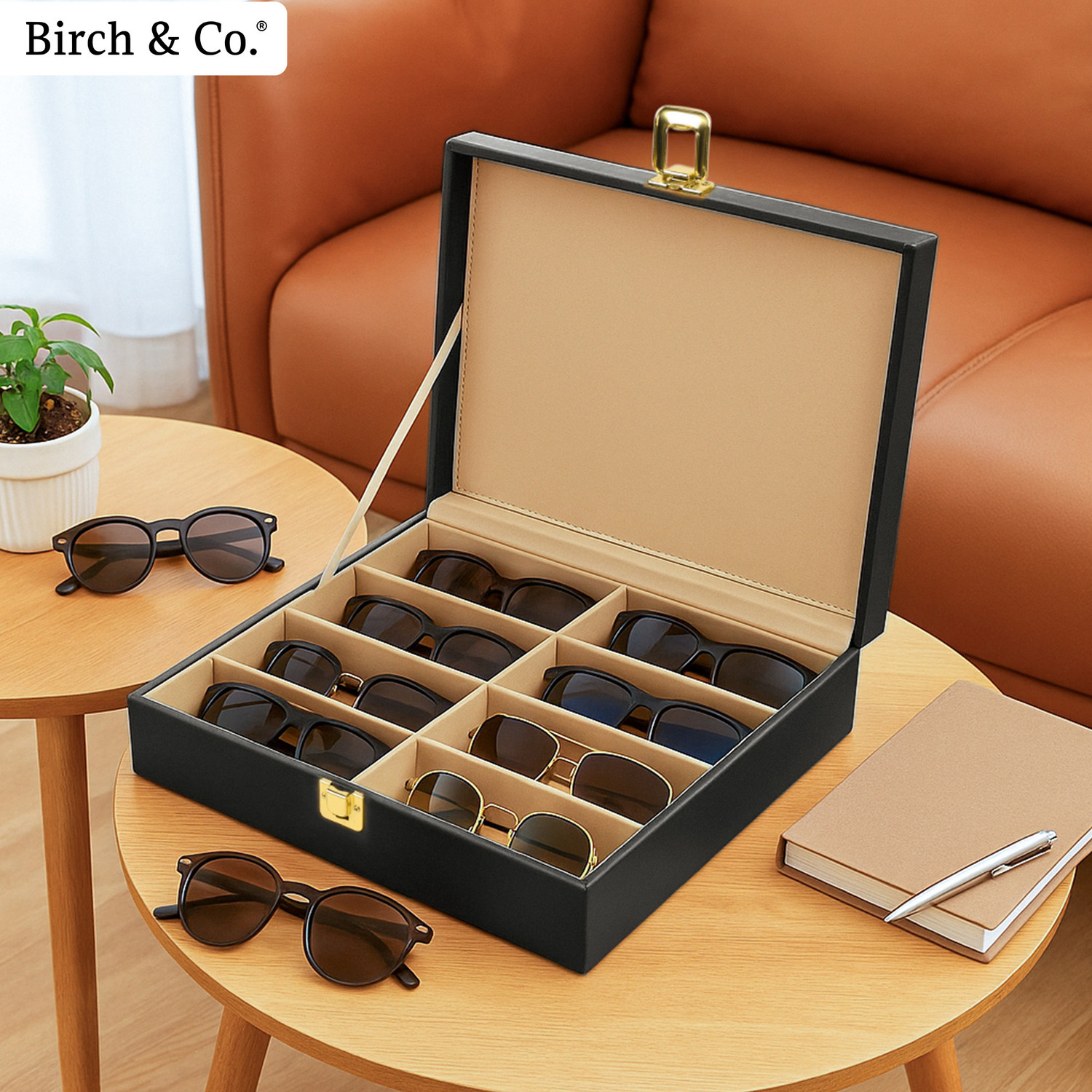 Image of Birch & Co. Sunglasses Organizer for Men - Goggles& Eyewear Holder, Travel-Friendly Regular Vanity Box