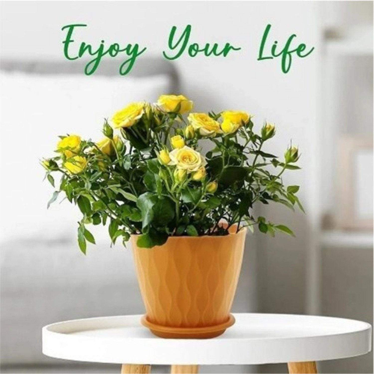 Image of SPHINE Plastic Vase