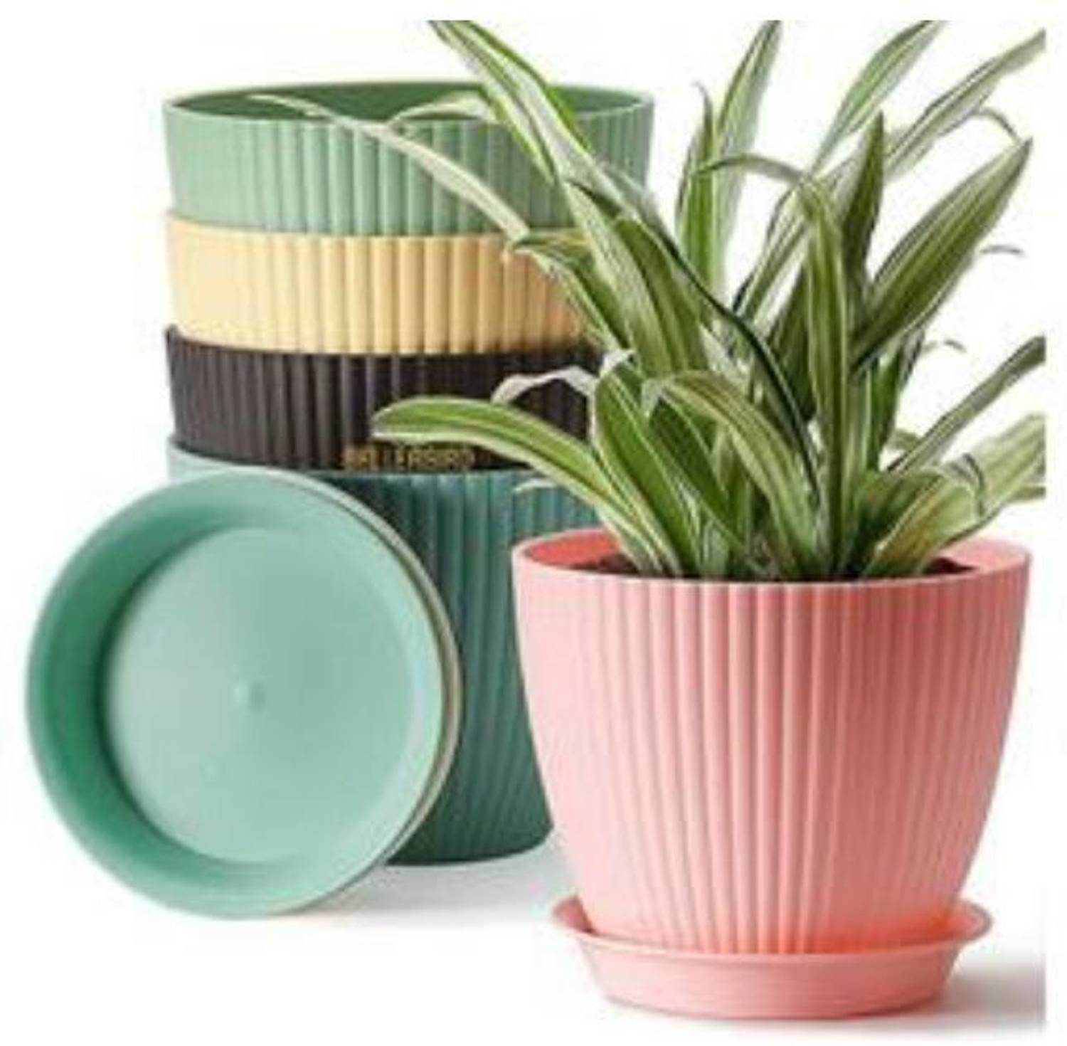 raj enterprises Plastic Vase (6.2 inch, Multicolor)