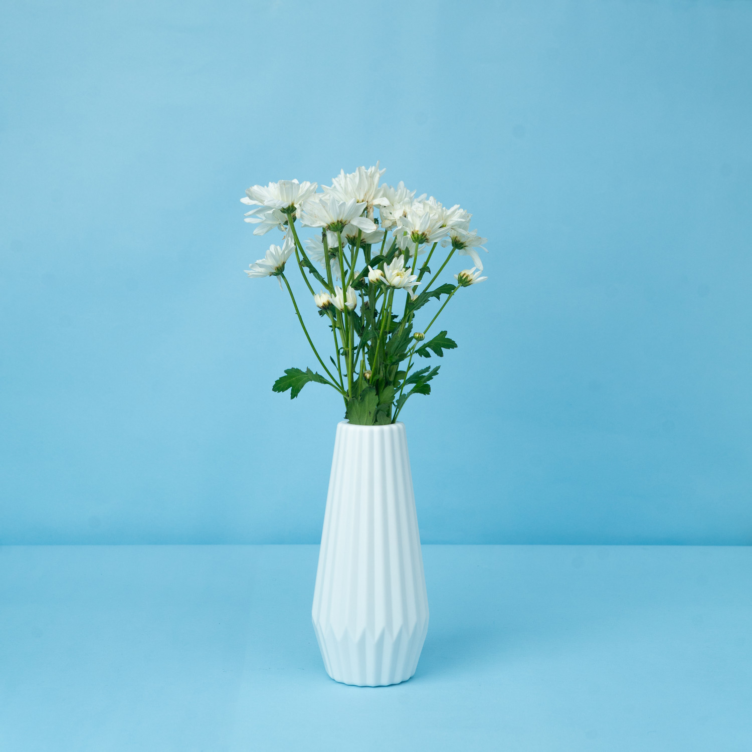 Image of Mrida and Maati Mrida & Maati 8inch Flower Vase (Without Flower) Table vase for office and Home Plastic Vase