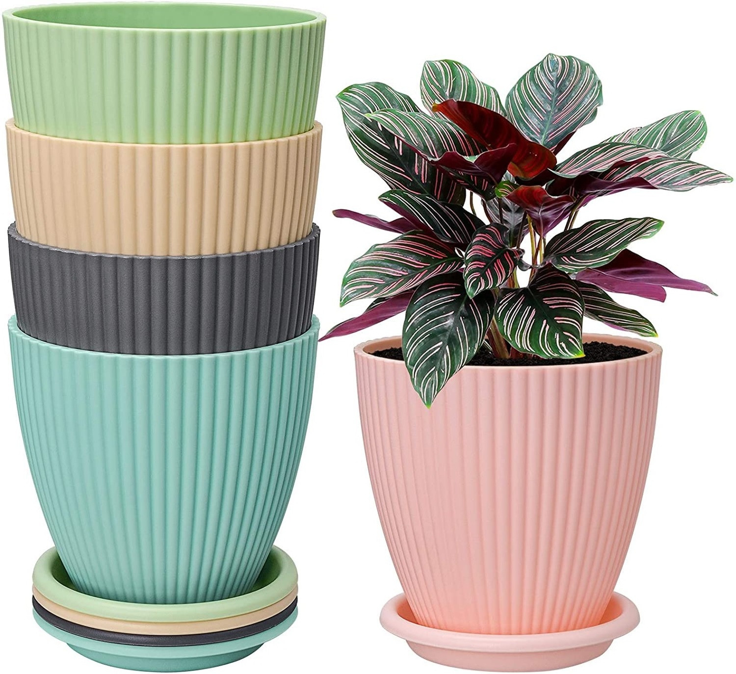 Image of GREECHO Flower Pots with Tray Gamla Tree Planter Lining Round Gardening Pots [Pack of 5] Plastic Vase
