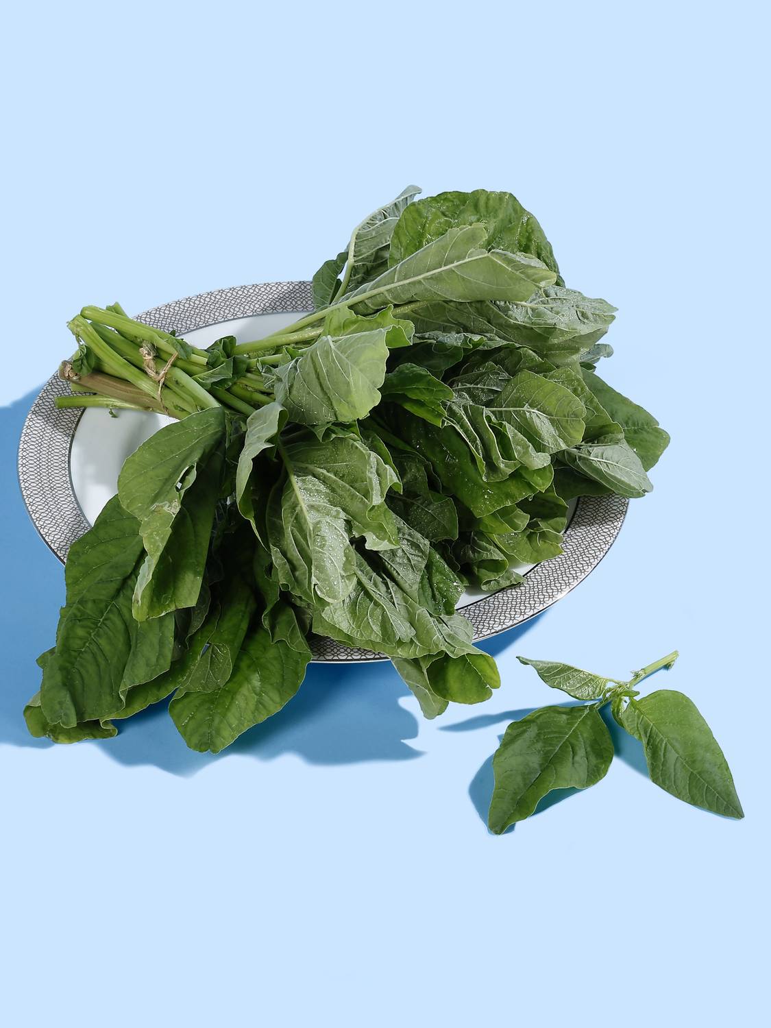 Green Amaranthus Leafy